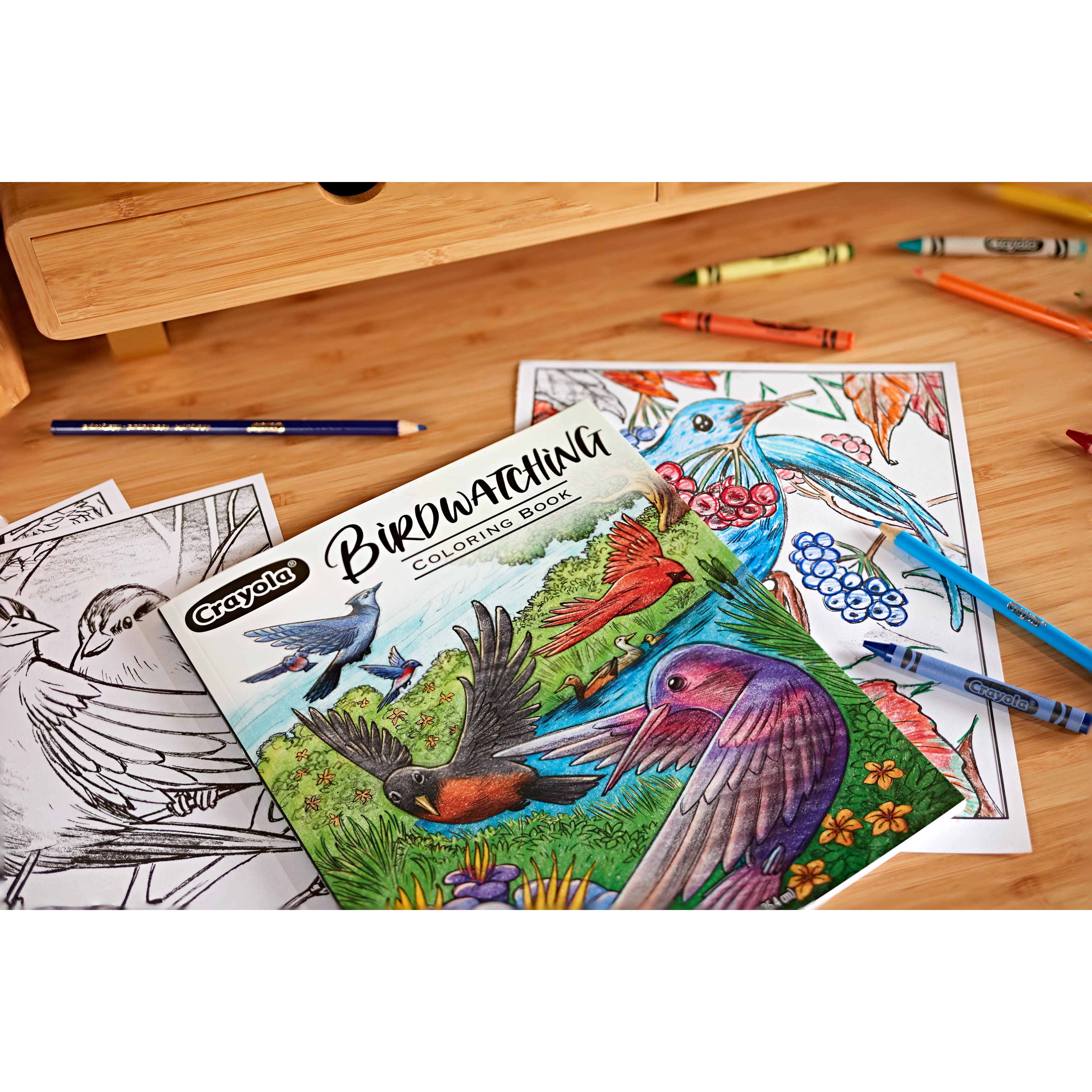 Crayola&#xAE; Bird Watching Coloring Book