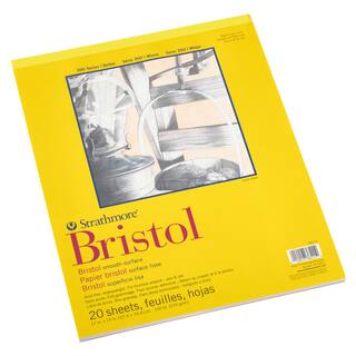 Strathmore Blocco Di Carta Bristol Liscia 22,9x30,5 Cm – 20 Fogli Per Penna E Inchiostro, Senza Acidi, Made In USA (2 Blocchi)