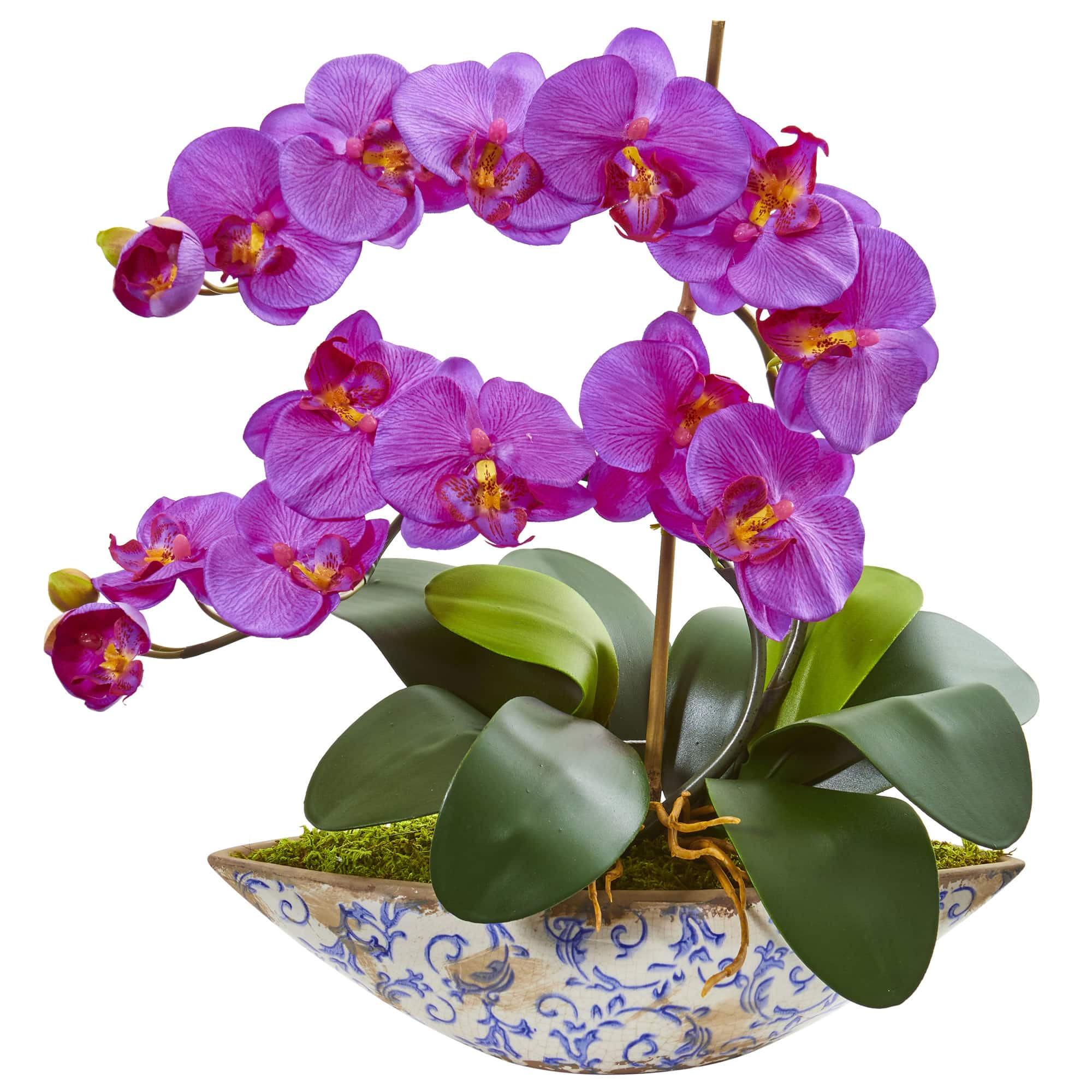 16" Moth Orchid Arrangement in Blue Floral Vase