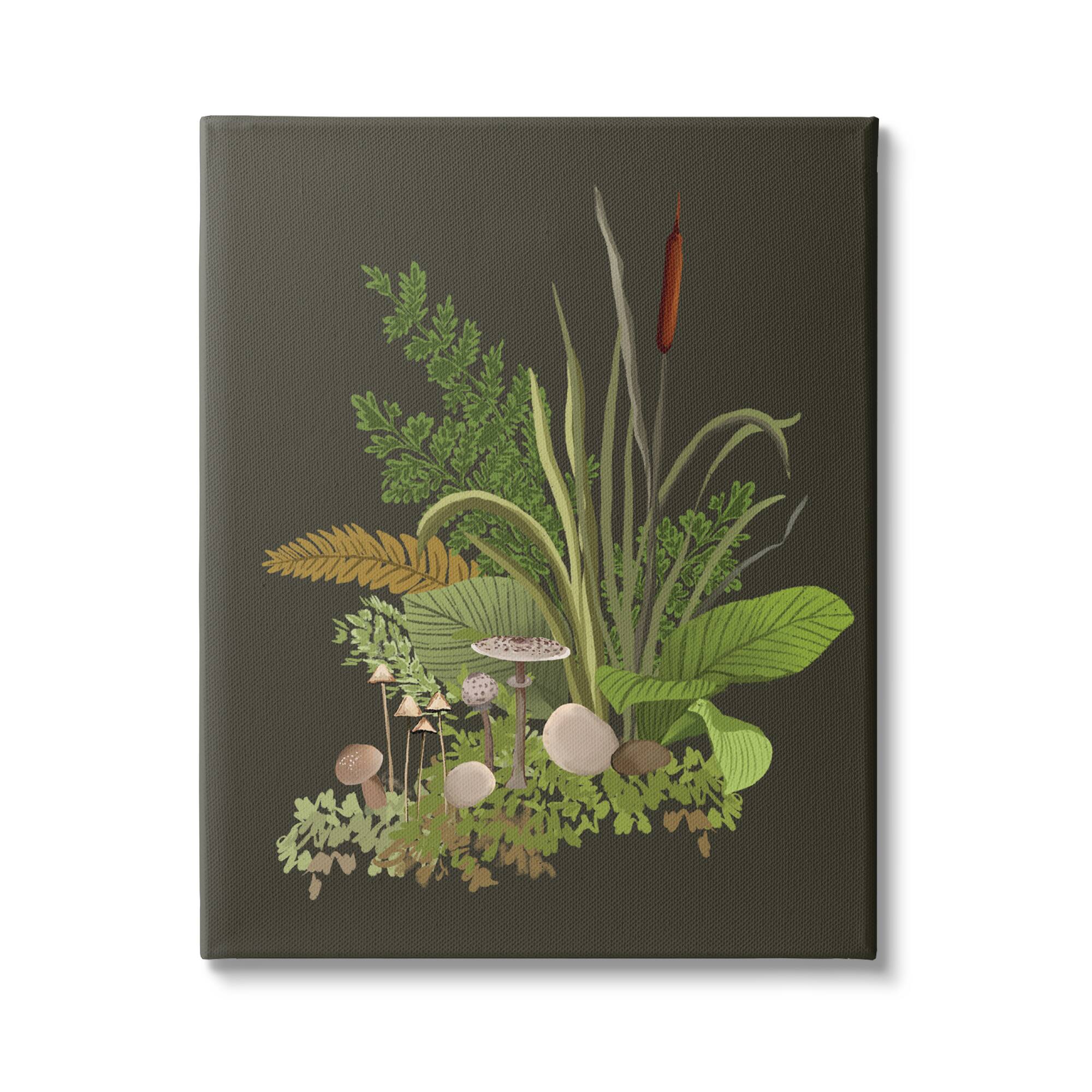 Stupell Industries Natural Forest Floor Mushrooms Ferns Canvas Wall Art