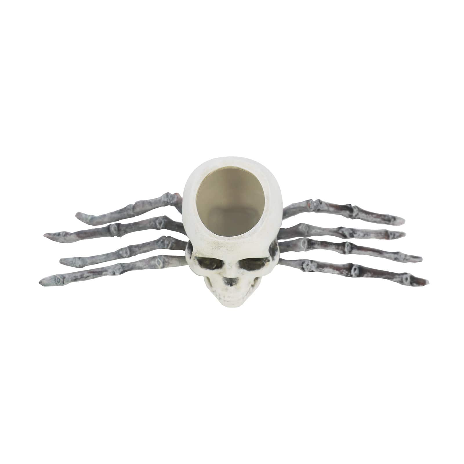 9.5&#x22; Spider Skull Tabletop D&#xE9;cor by Ashland&#xAE;