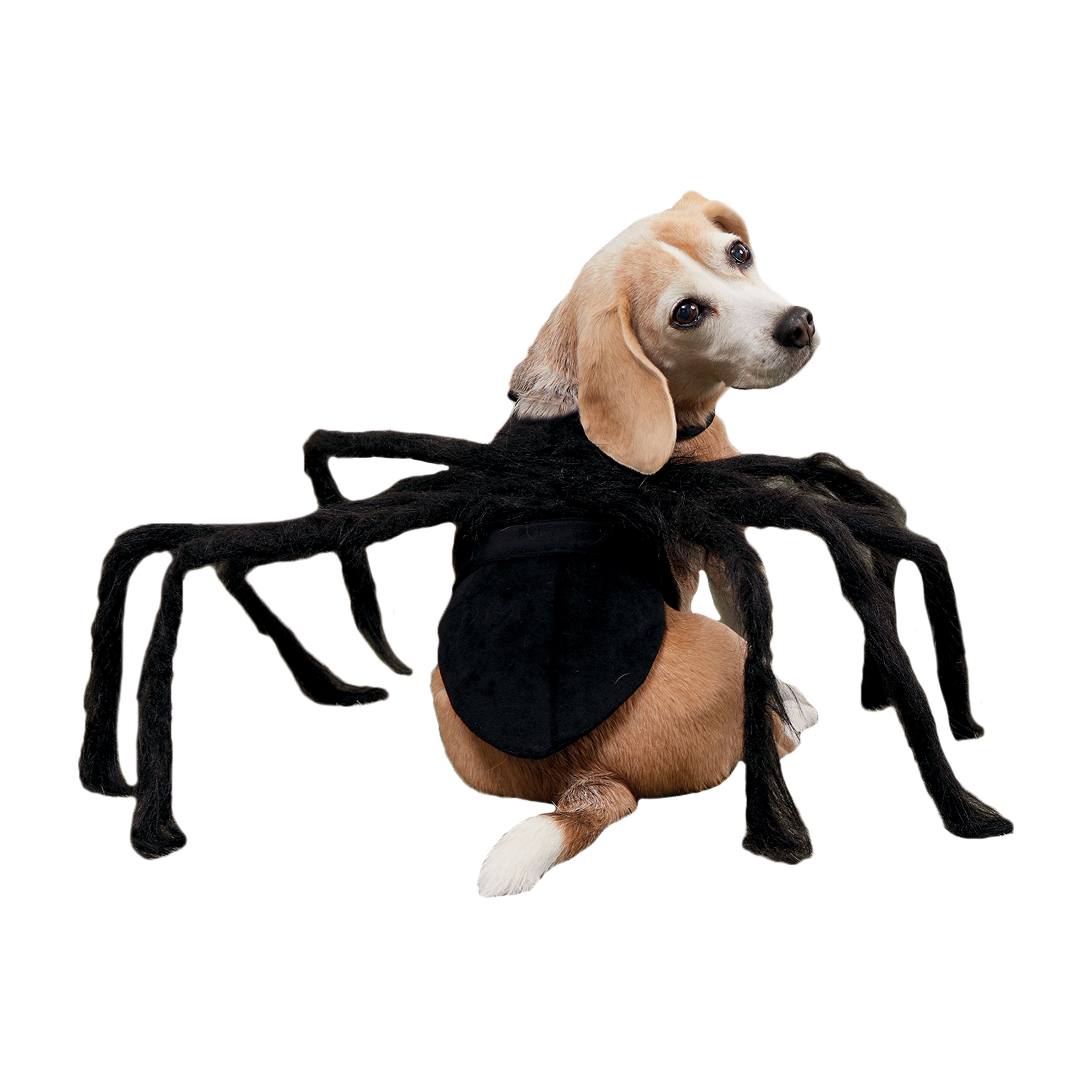 Dog costume with legs best sale