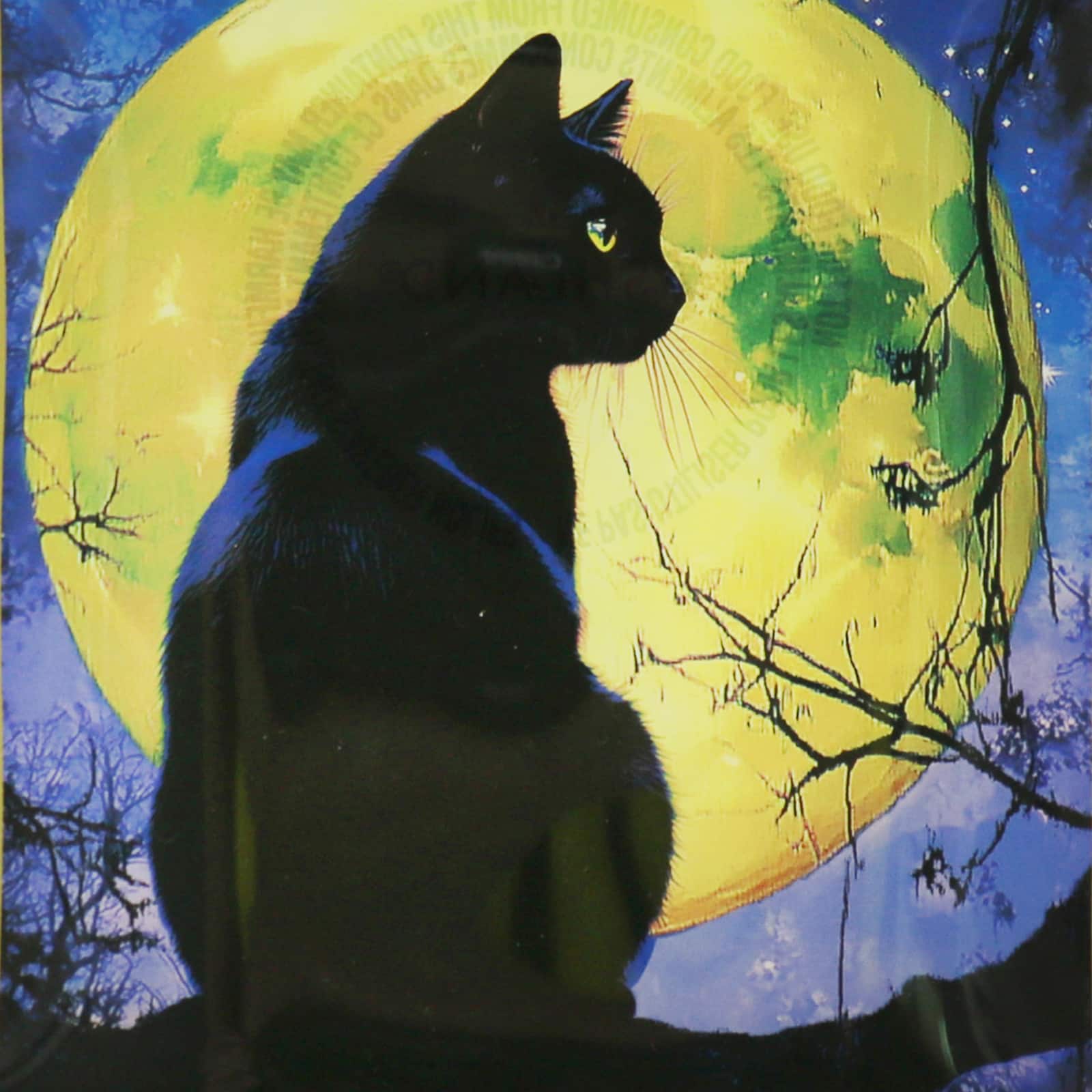 4&#x22; x 6&#x22; Black Cat Glass Plate by Ashland&#xAE;