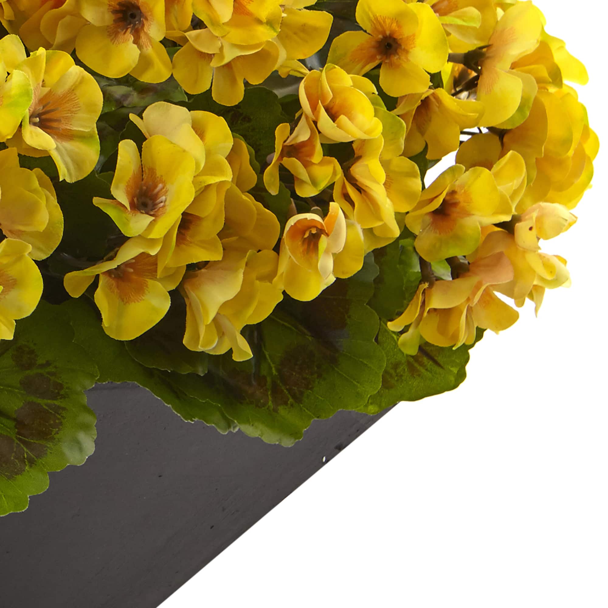 15&#x22; UV Resistant Yellow Geranium Arrangement in Black Planter