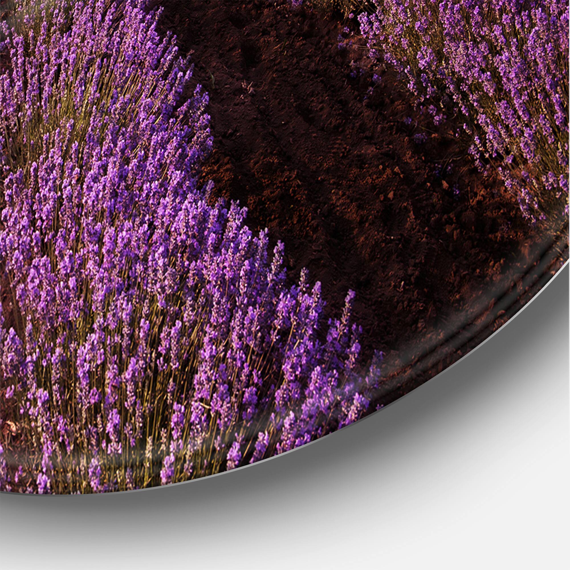 Designart - Sunrise &#x26; Dramatic Clouds Over Lavender Field XI - Farmhouse Metal Circle Wall Art