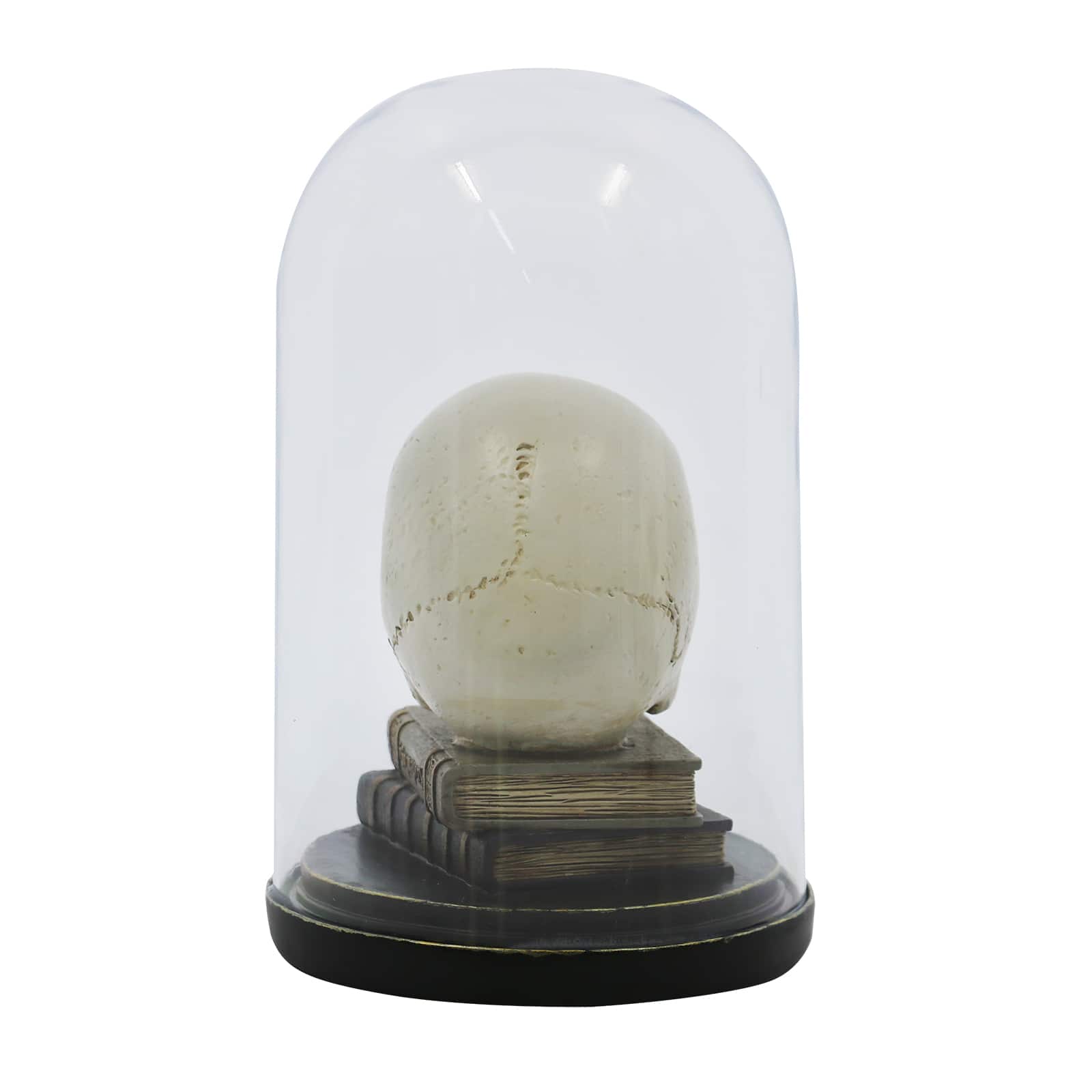 9.5&#x22; Skull on Books Cloche Tabletop D&#xE9;cor by Ashland&#xAE;