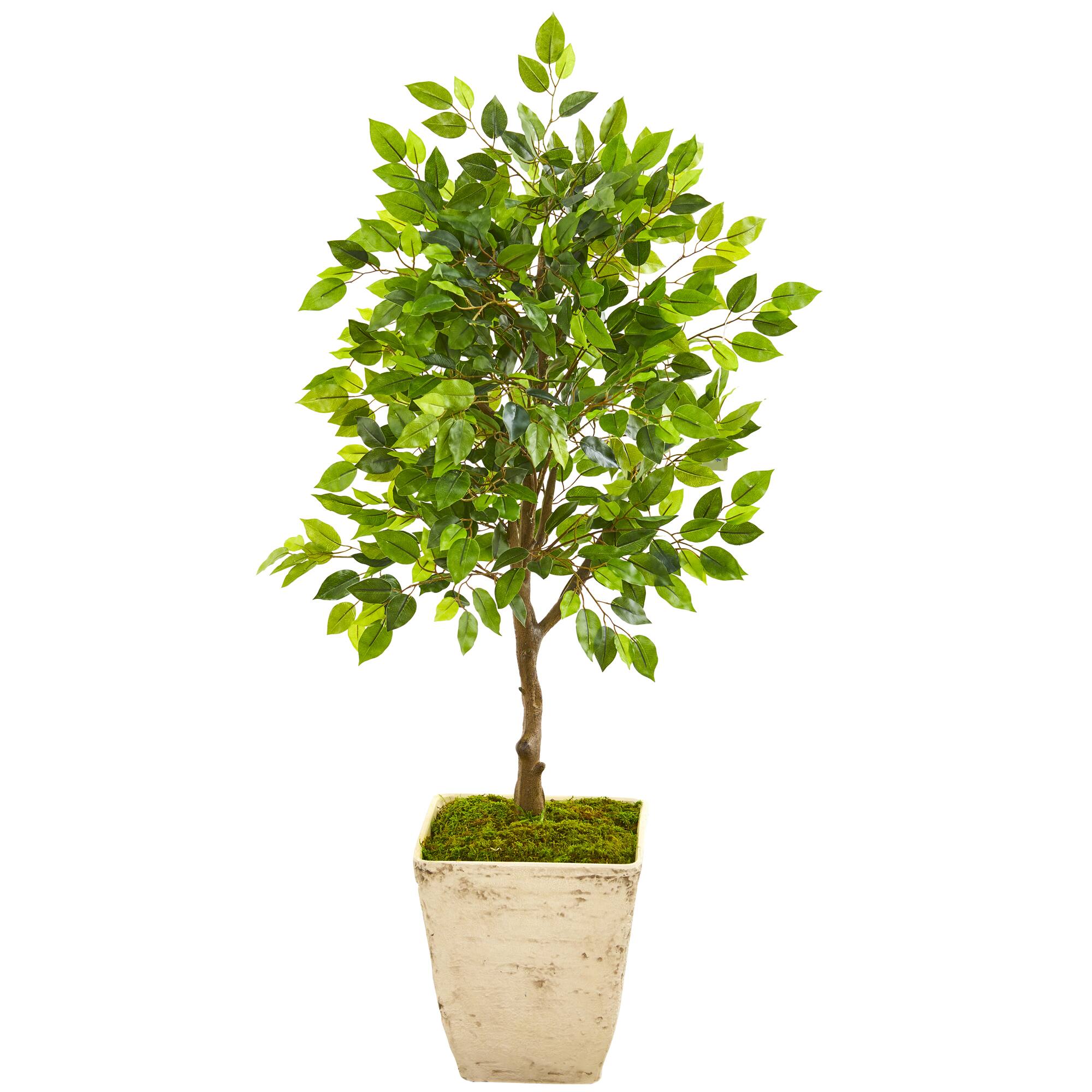 3.3ft. Ficus Artificial Tree in Country White Planter