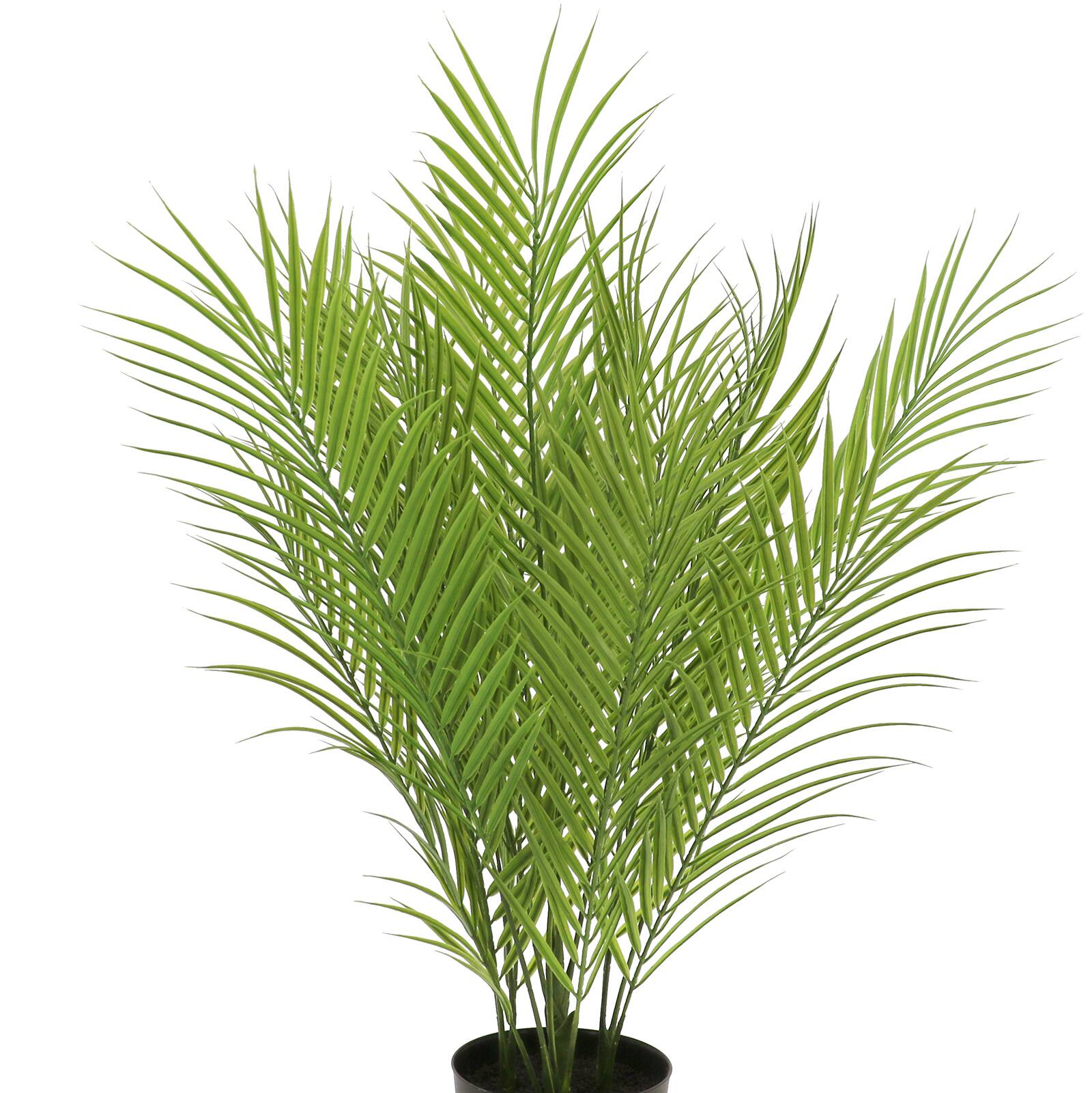 31&#x22; Areca Palm Plant by Ashland&#xAE;