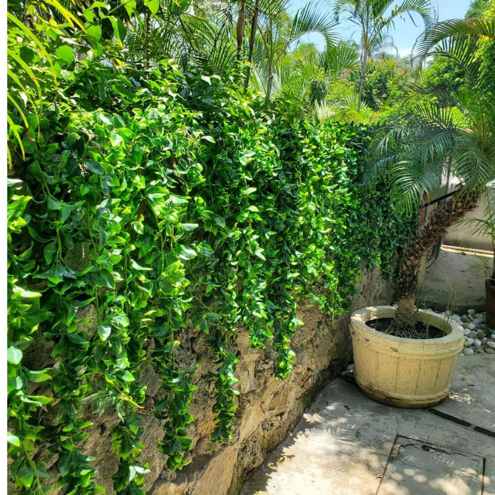 GreenSmart Dekor 70" Faux Cancun Garland, 2ct.