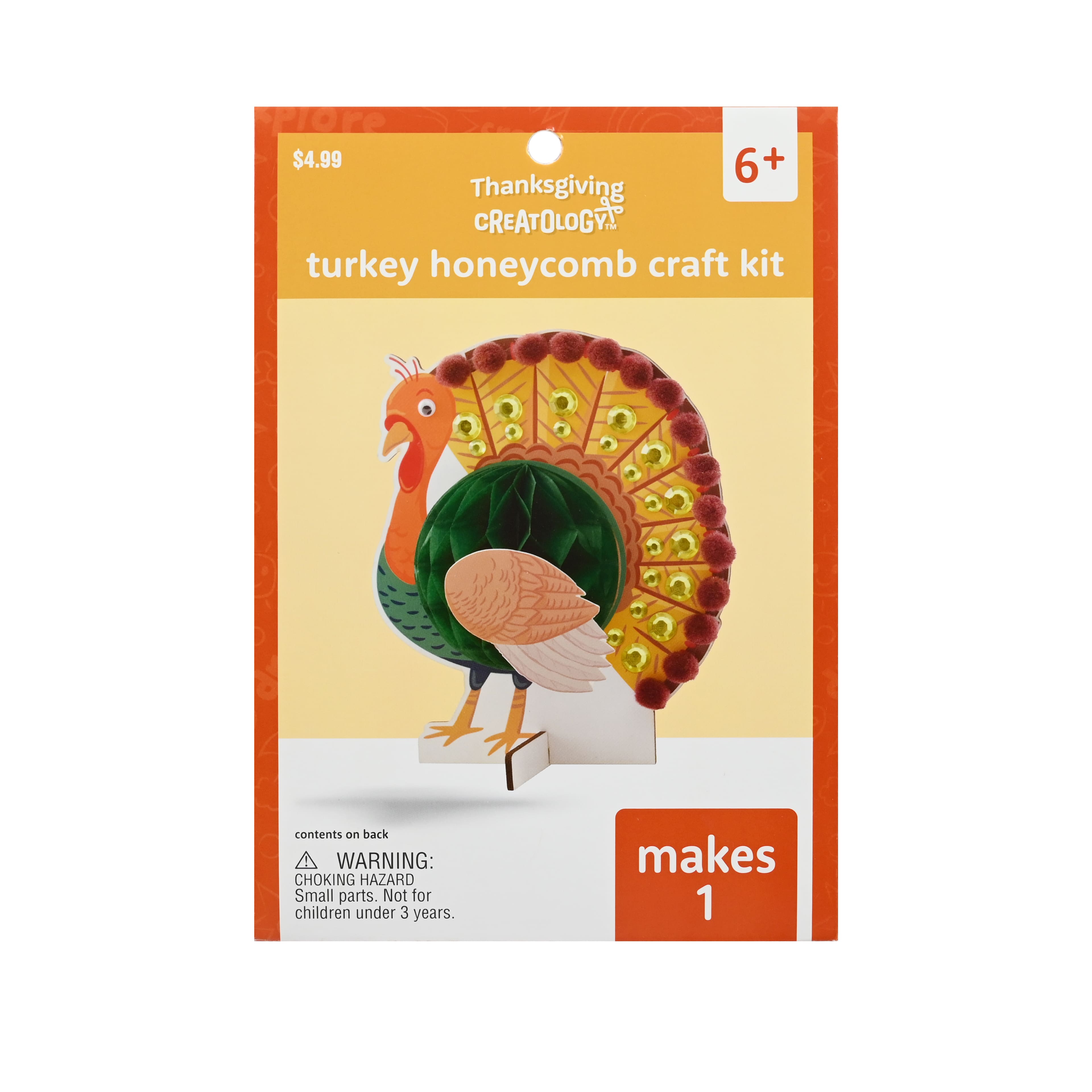 Turkey Honeycomb Craft Kit by Creatology&#x2122;