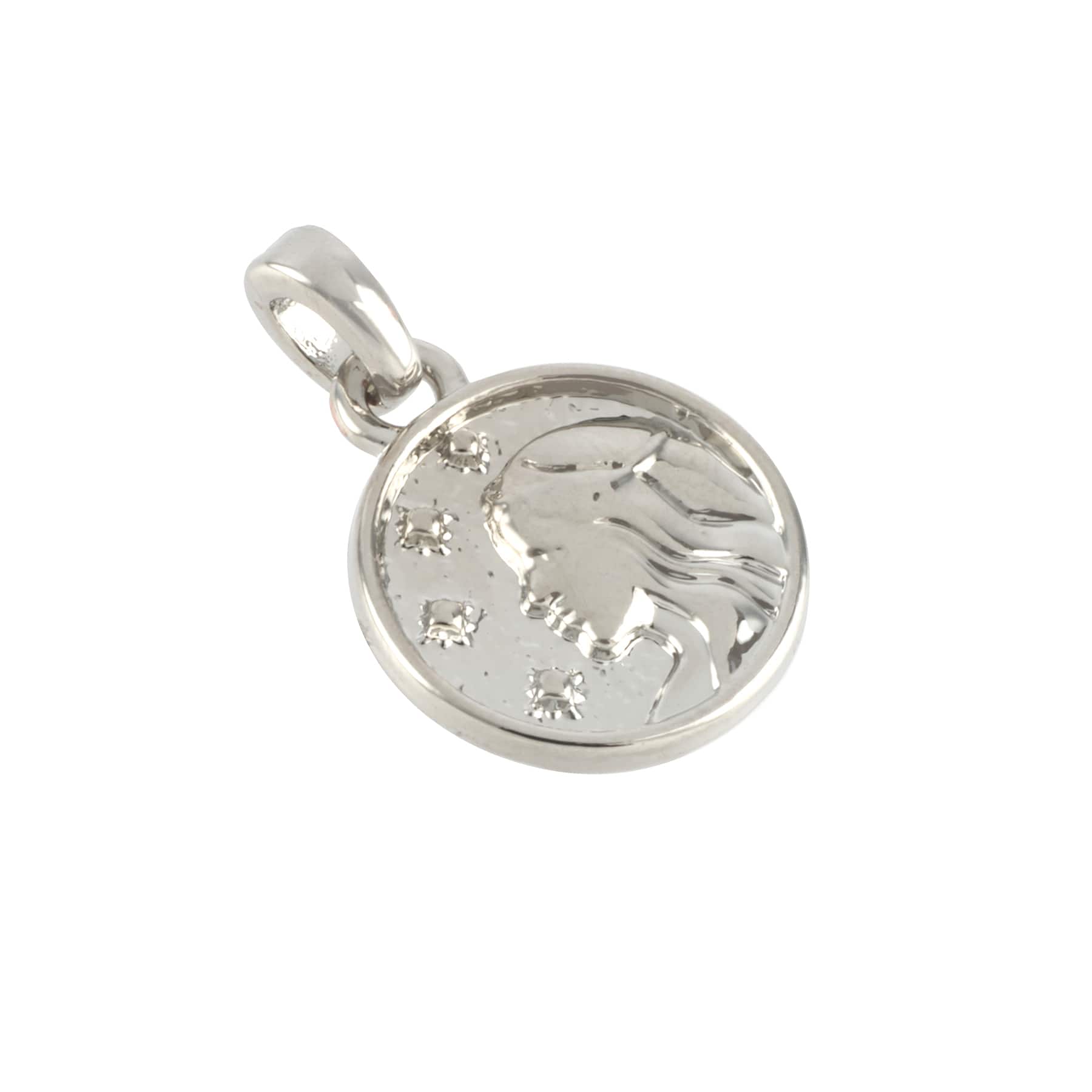 12 Pack: Metal Zodiac Coin Charm by Bead Landing™