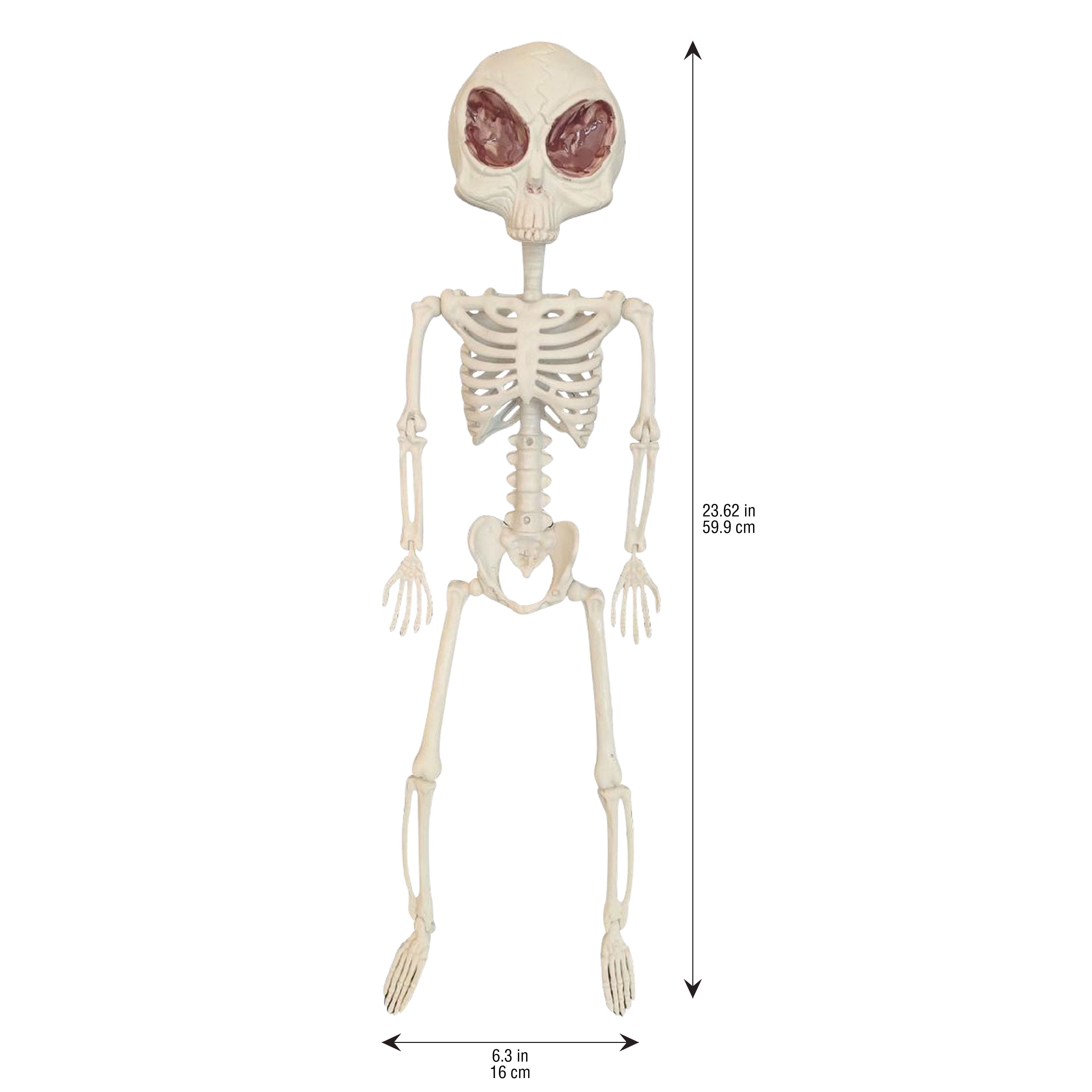 24&#x22; Alien Skeleton by Ashland&#xAE;