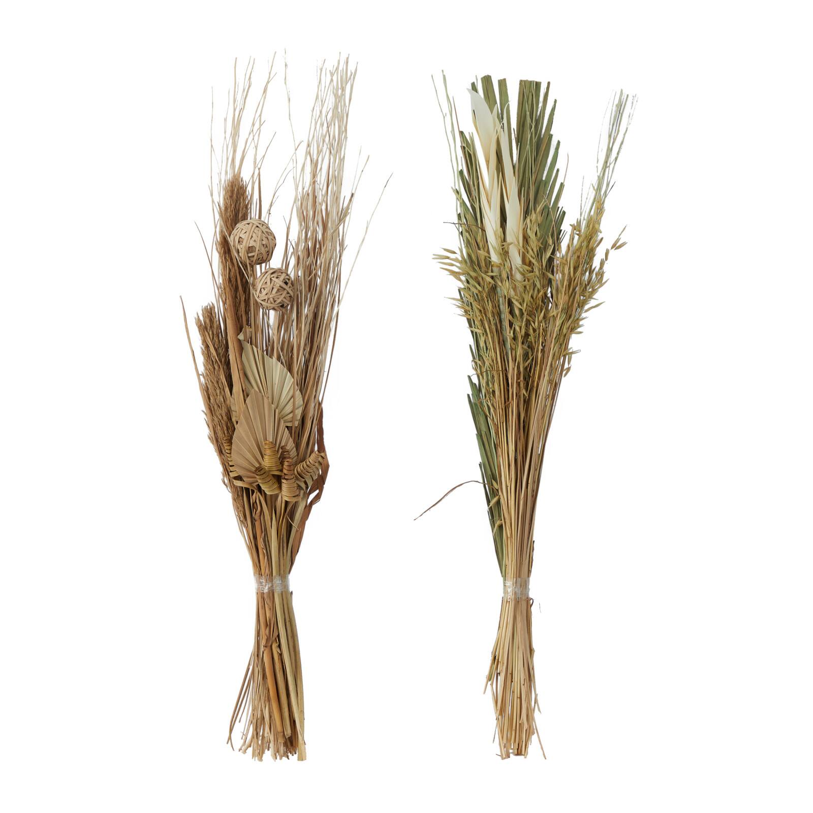 Brown & Green Pigeon Pea Foliage Bundle Set