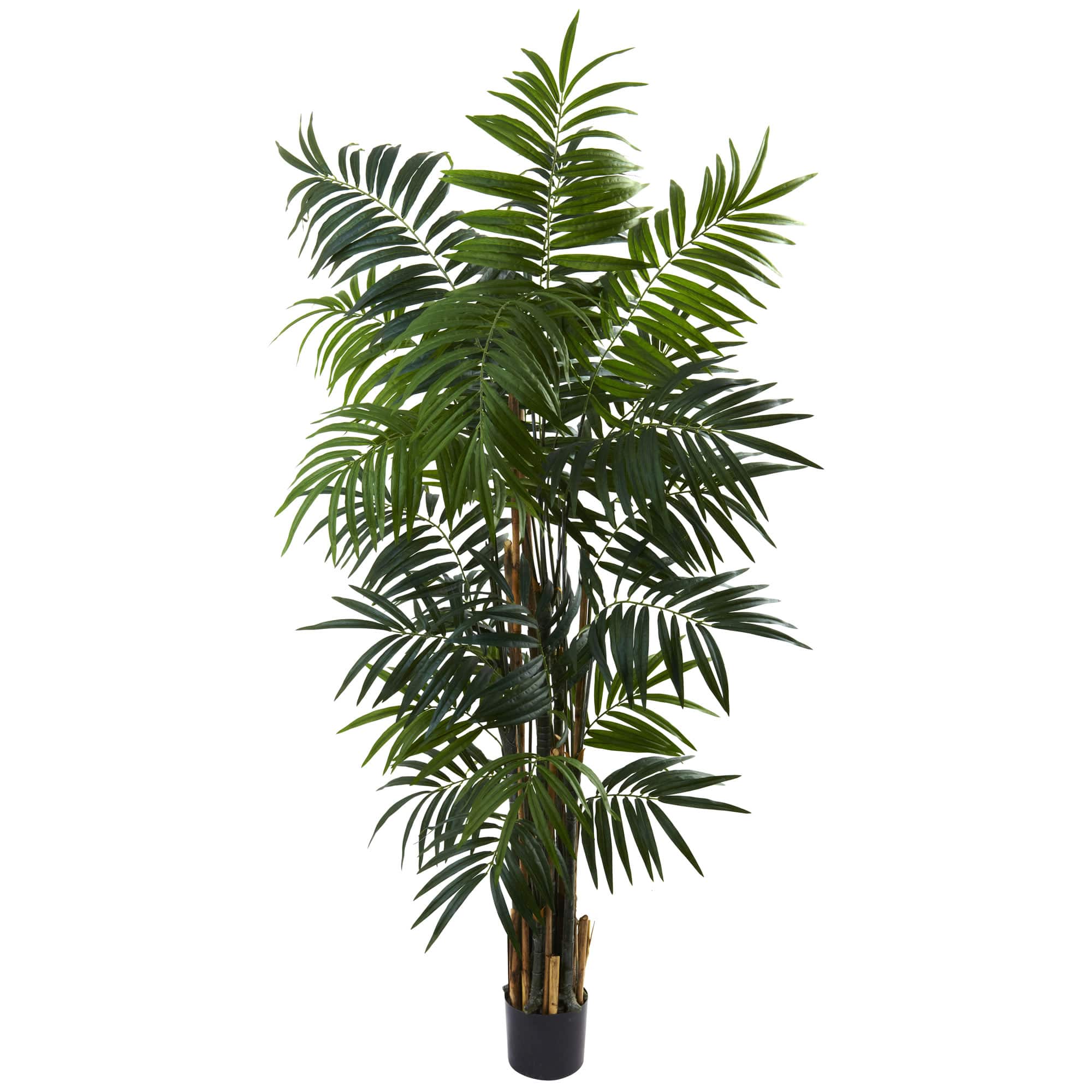 6ft. Potted Bulb Areca Palm Tree