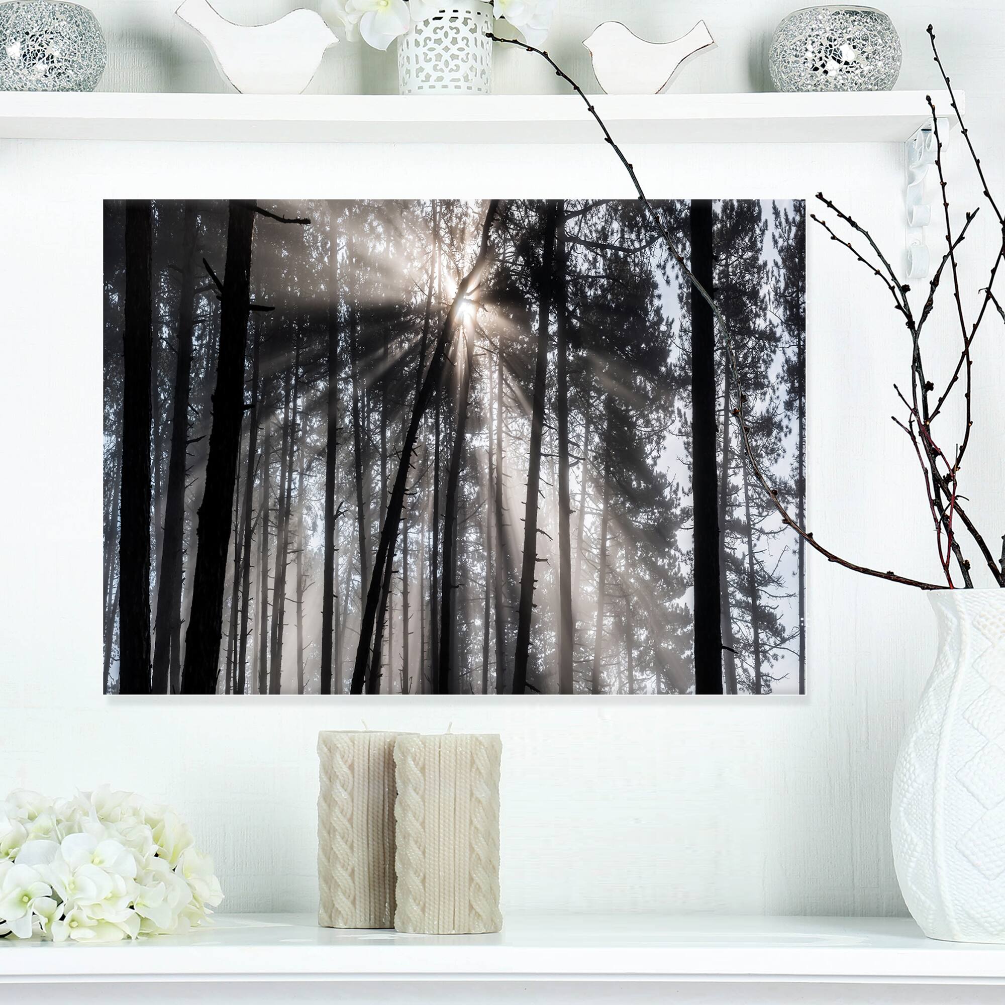 Designart - Sunbeams through Black White Forest - Forest Canvas Wall Art Print