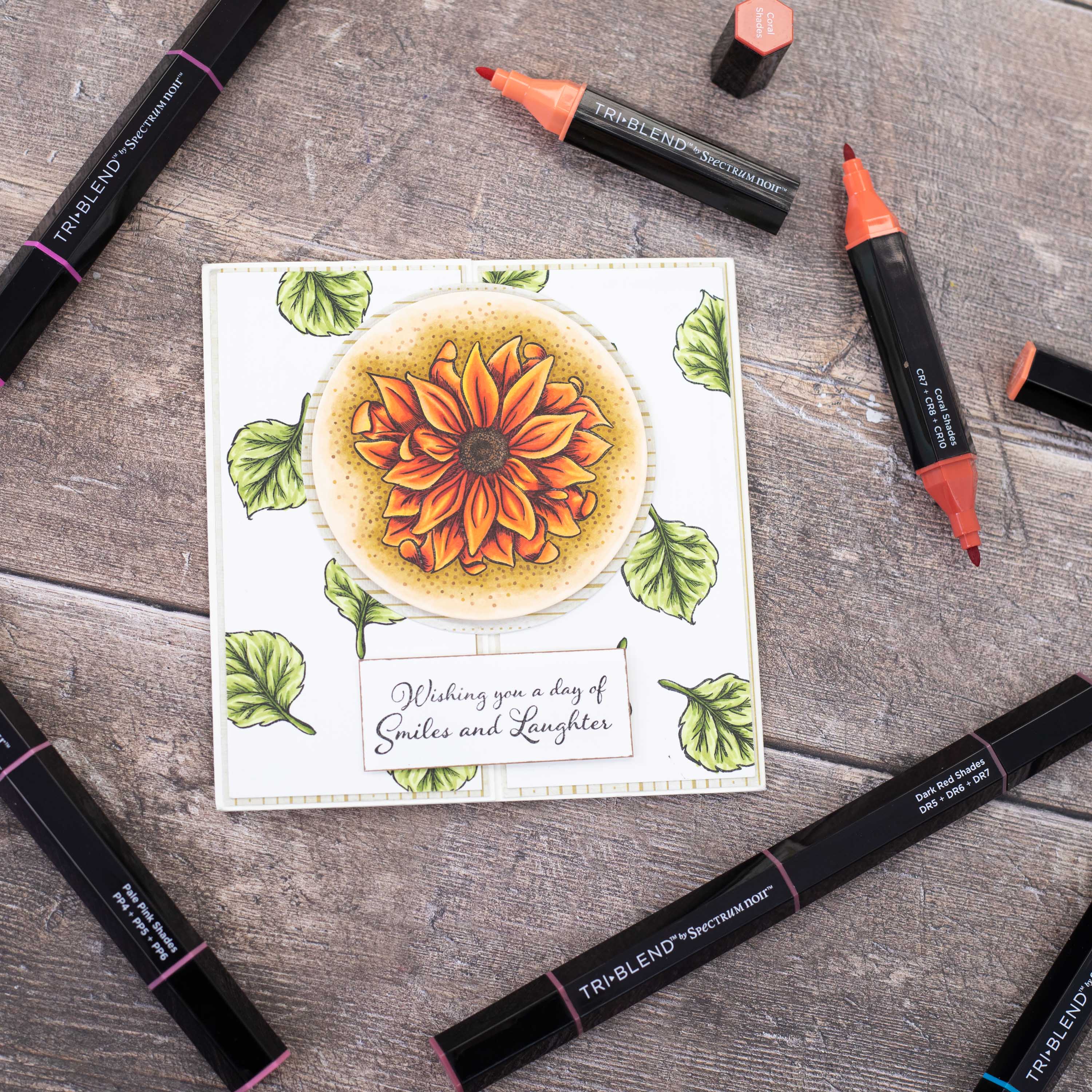 Spectrum Noir™ TriBlend™ Jewel Shades Brush Marker Set