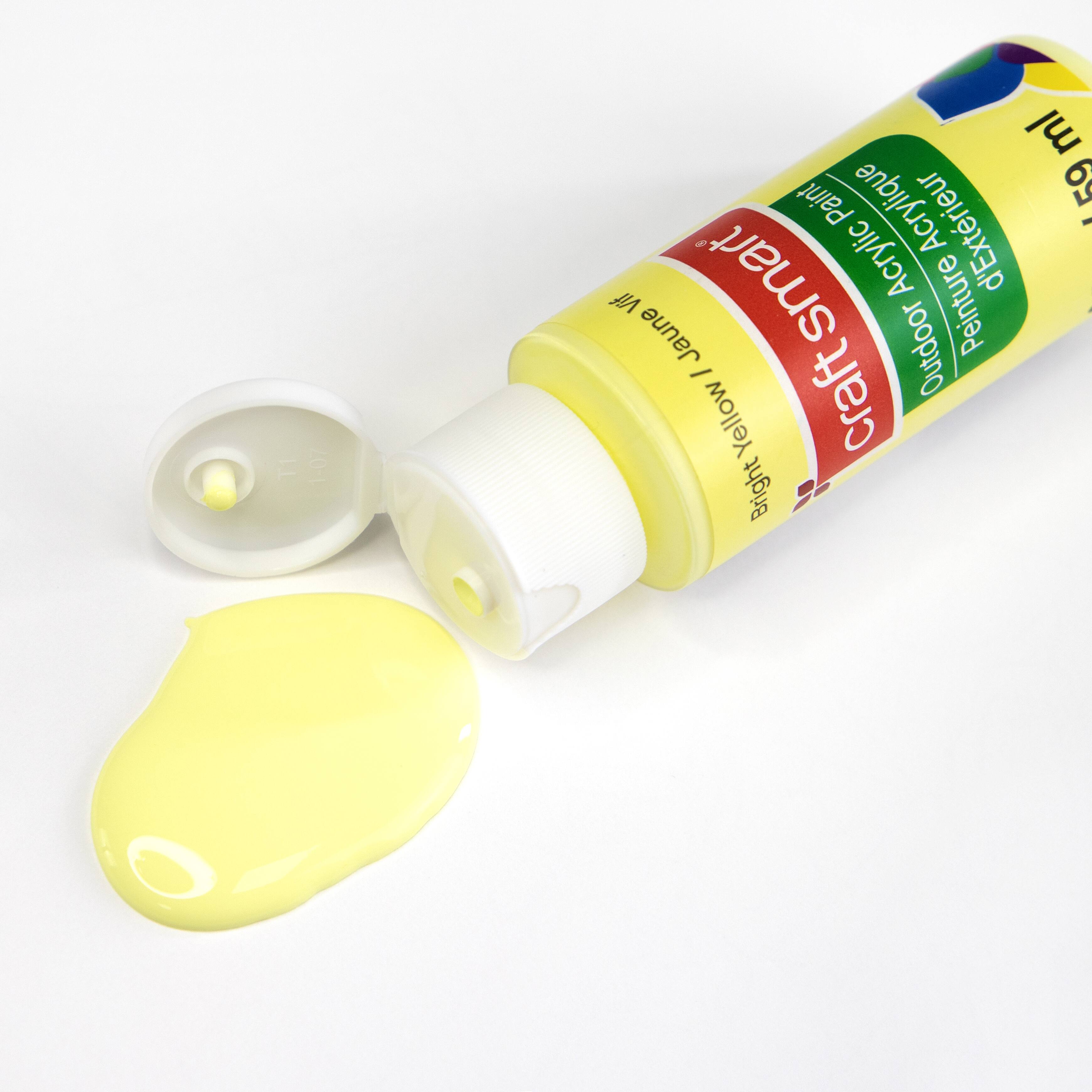 12 Pack: 2oz. Bright Outdoor Acrylic Paint by Craft Smart®