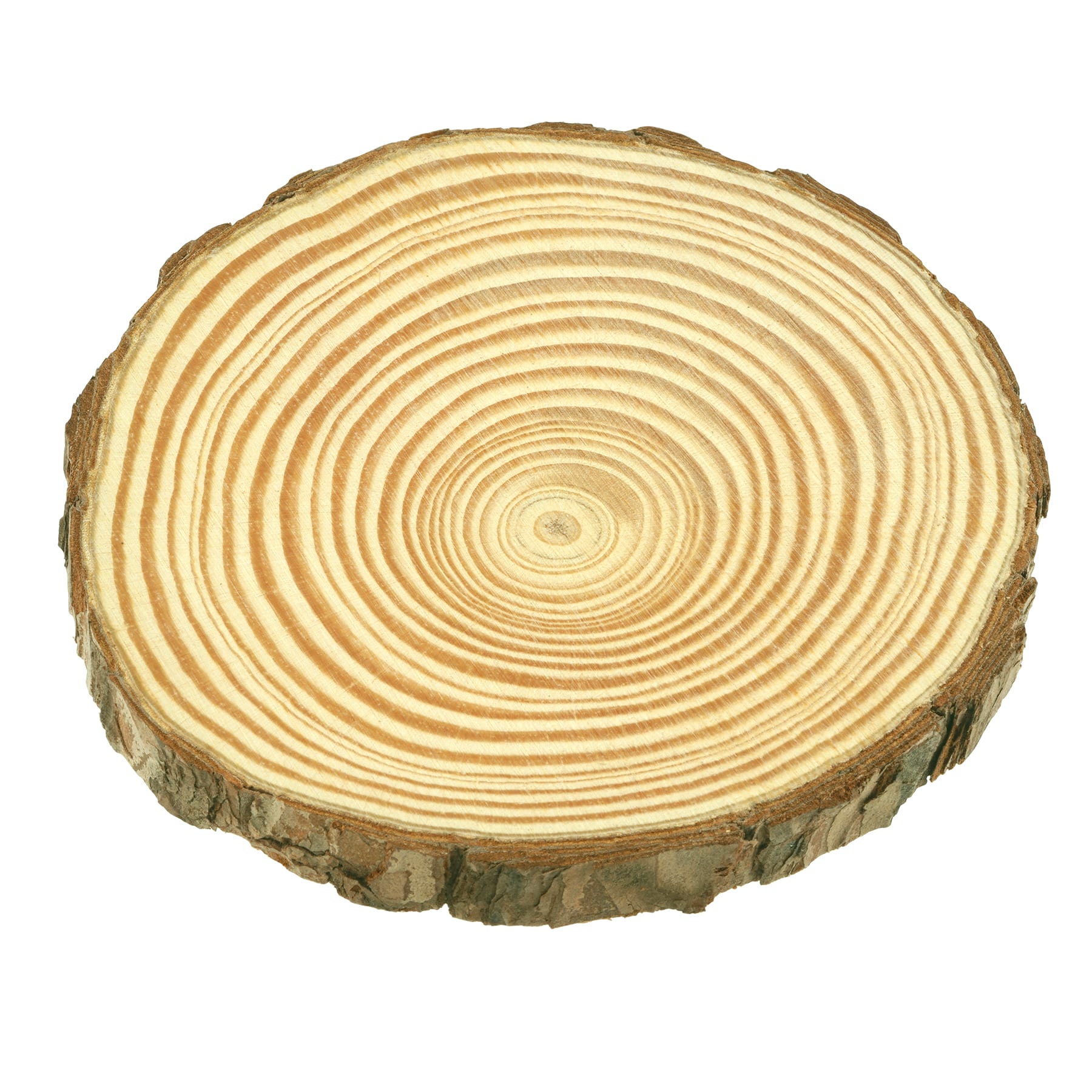 12 Packs: 4 ct. (48 total) 3.875&#x22; Pinewood Slices by Make Market&#xAE;