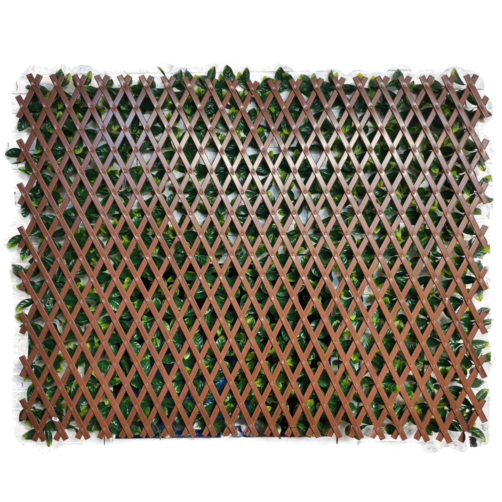 4ft. Expandable Lemon Leaf Lattice Screen