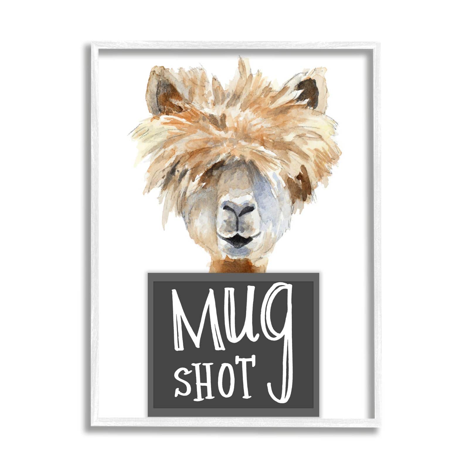 Stupell Industries Fluffy Hair Alpaca Animal Mugshot Funny Portrait Framed Wall Art