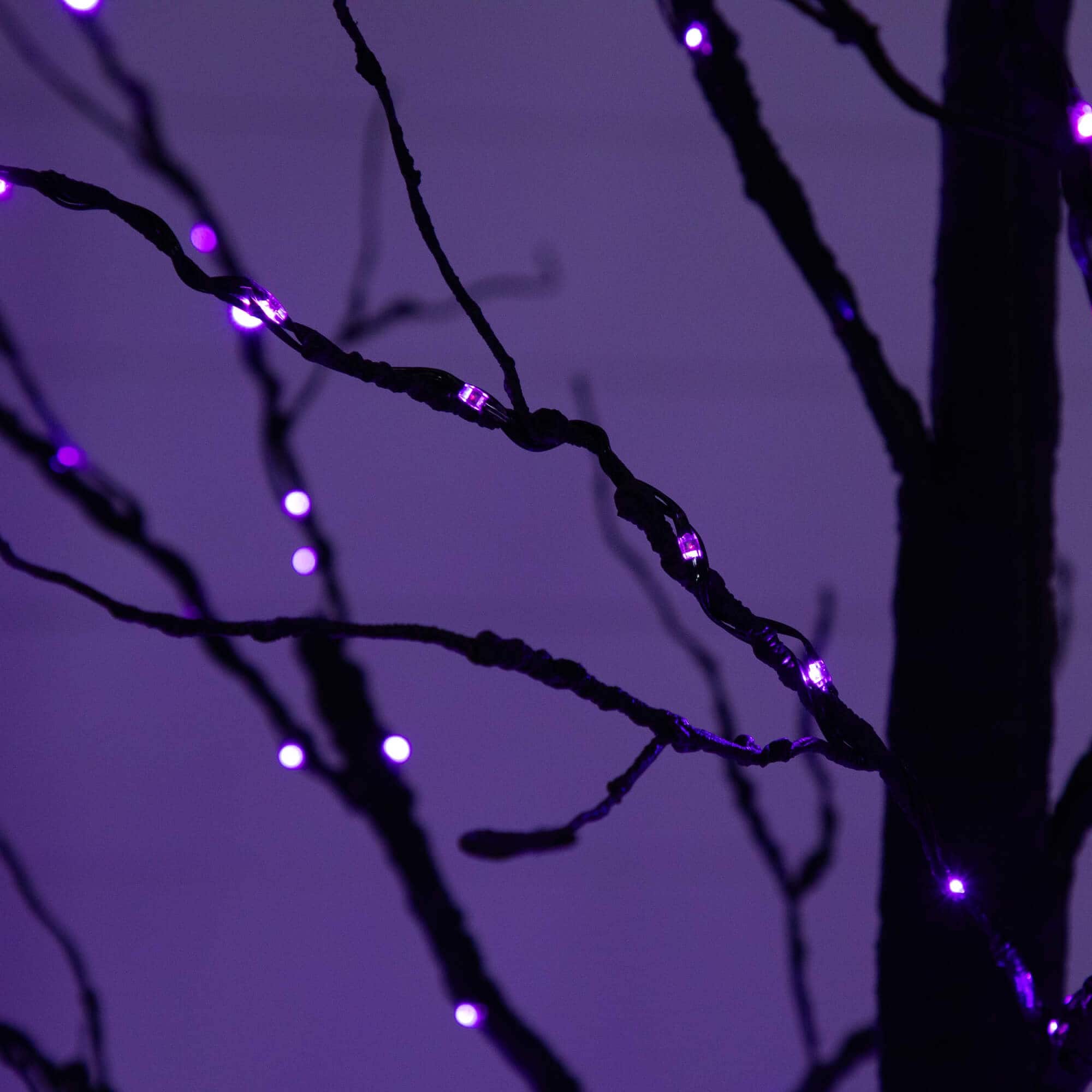 8ft. Pre-Lit Halloween Black Twig Artificial Tree with 510 Orange &#x26; Purple LED Lights