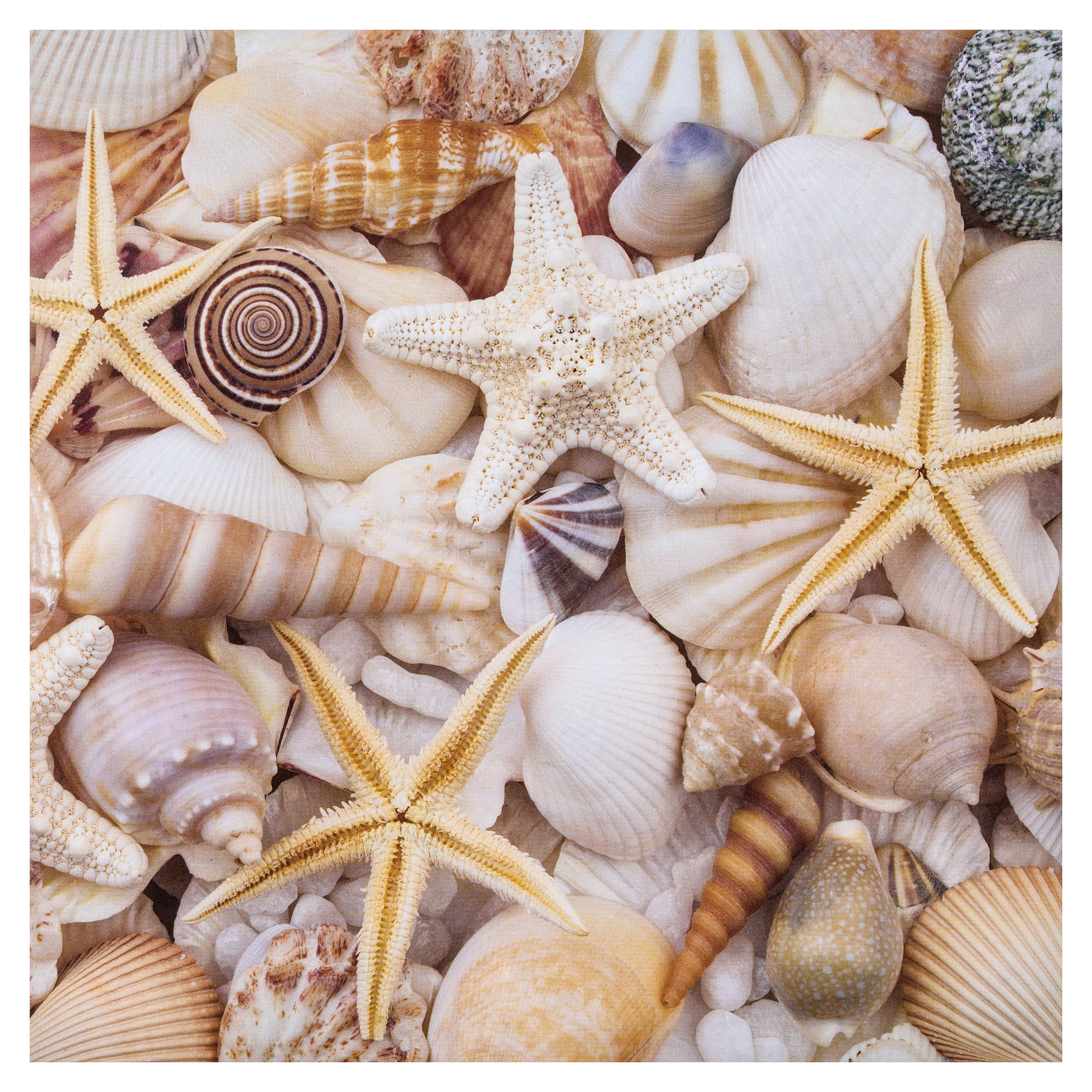 Seashell &#x26; Beach Double-Sided Cardstock by Recollections&#x2122;, 12&#x22; x 12&#x22;