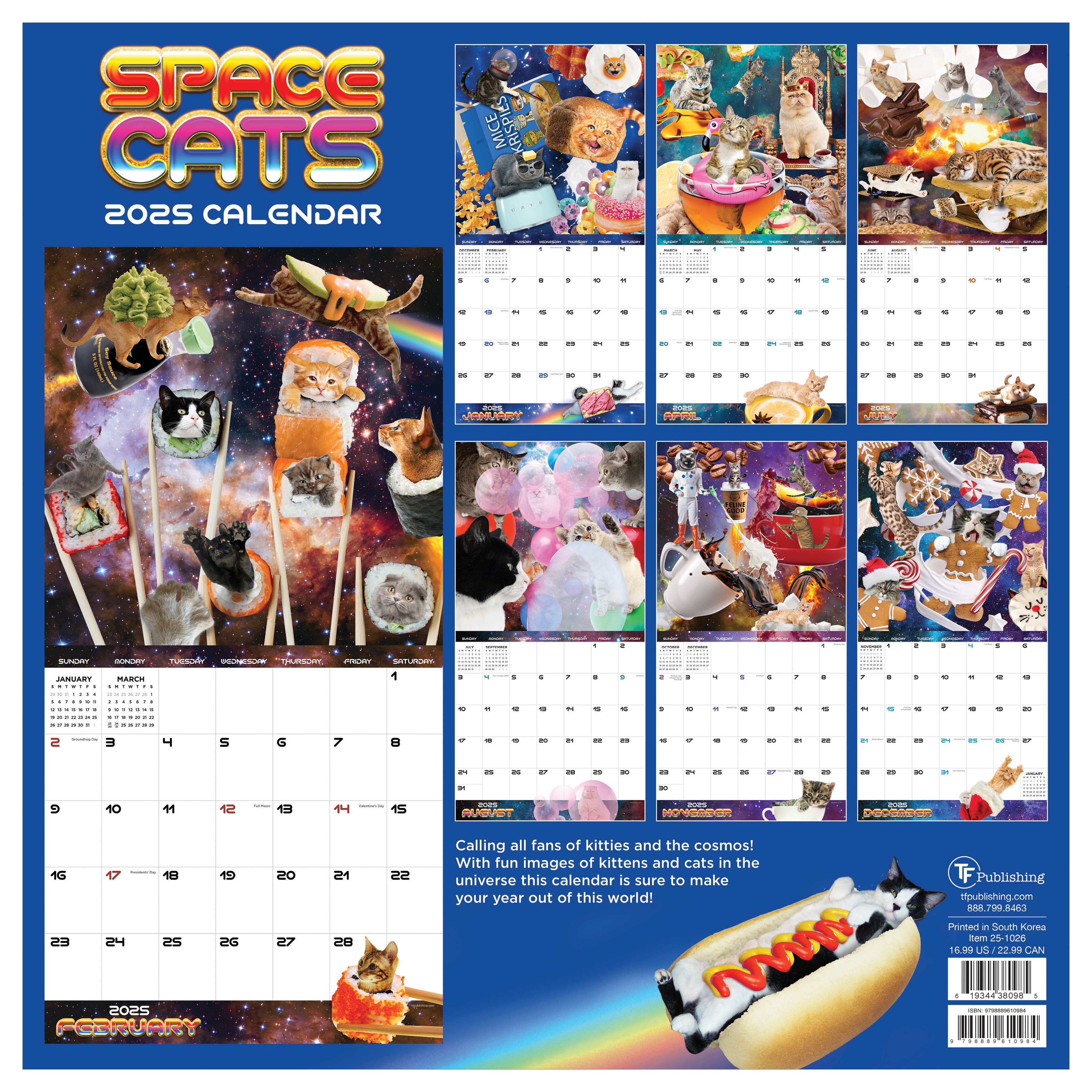 TF Publishing 2025 Space Cats Wall Calendar