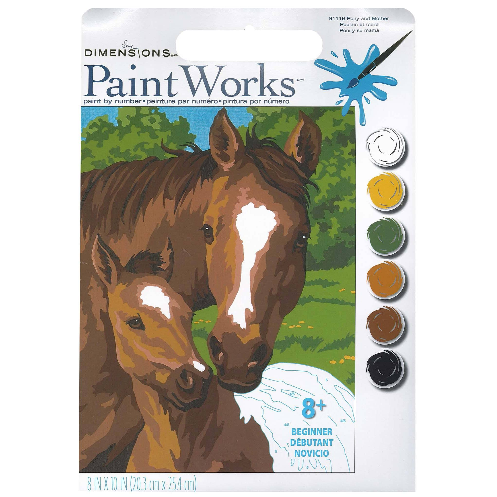 Paint by Numbers- Adult Kits (8 x 10)