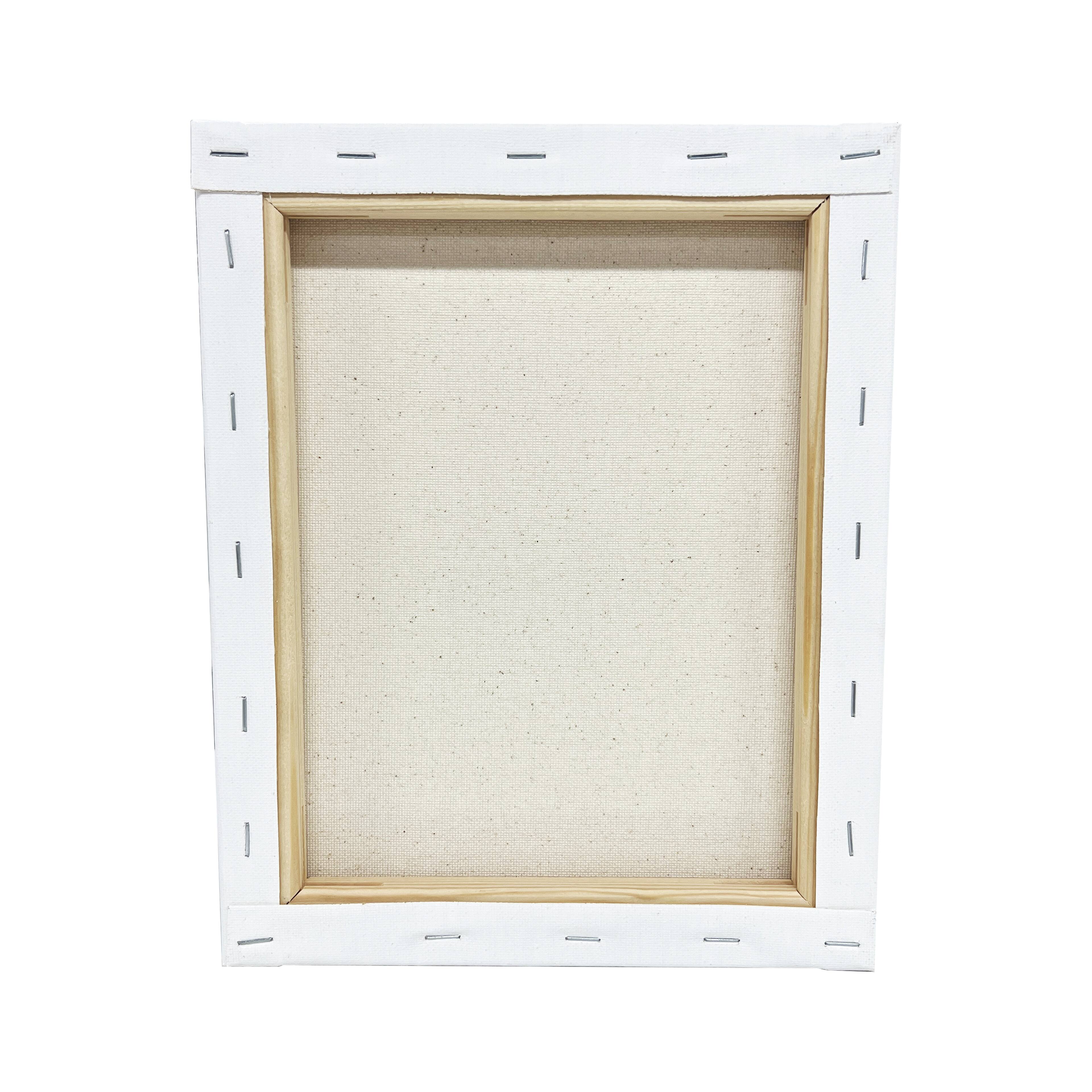 2 Pack Value Canvas by Artist's Loft®