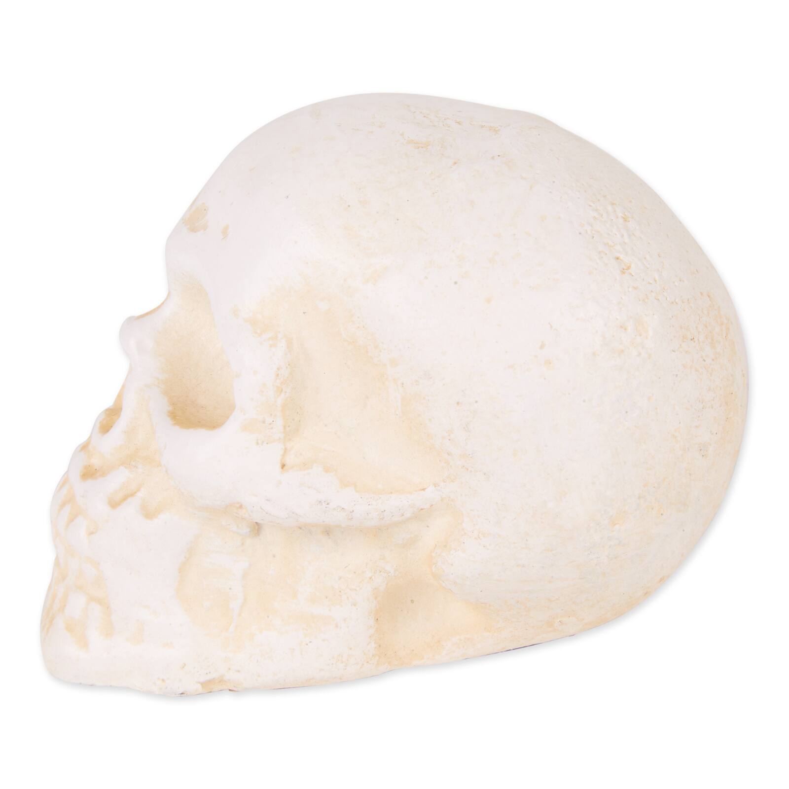 DII&#xAE; Human Skull Cast Iron Paperweight