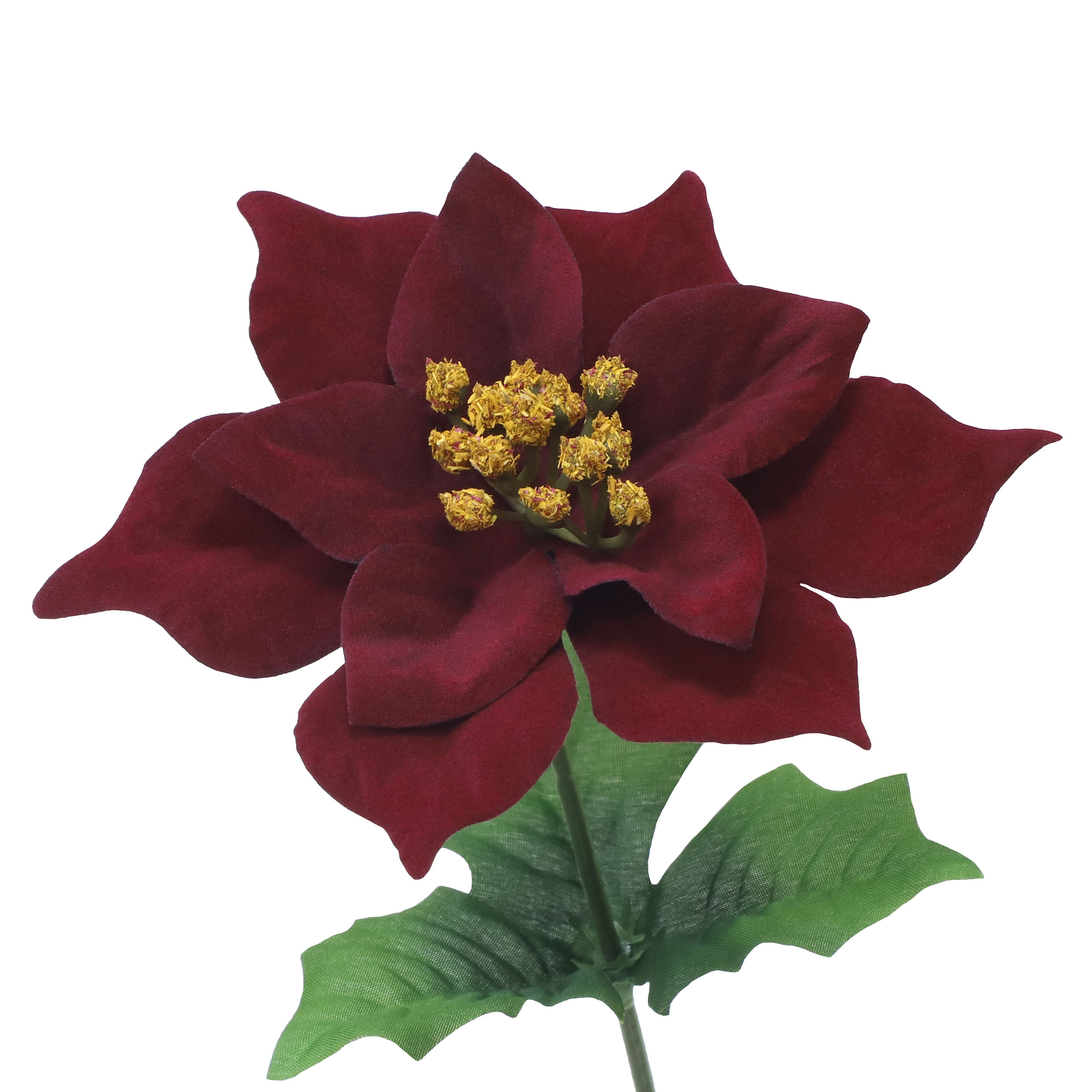 12&#x22; Poinsettia Bush by Ashland&#xAE;