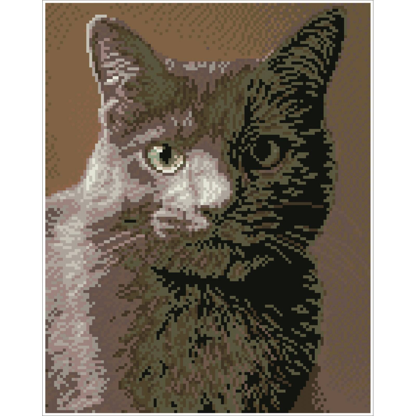 Diamond Dotz® Intermediate Smokey Pre-Framed Diamond Painting Kit