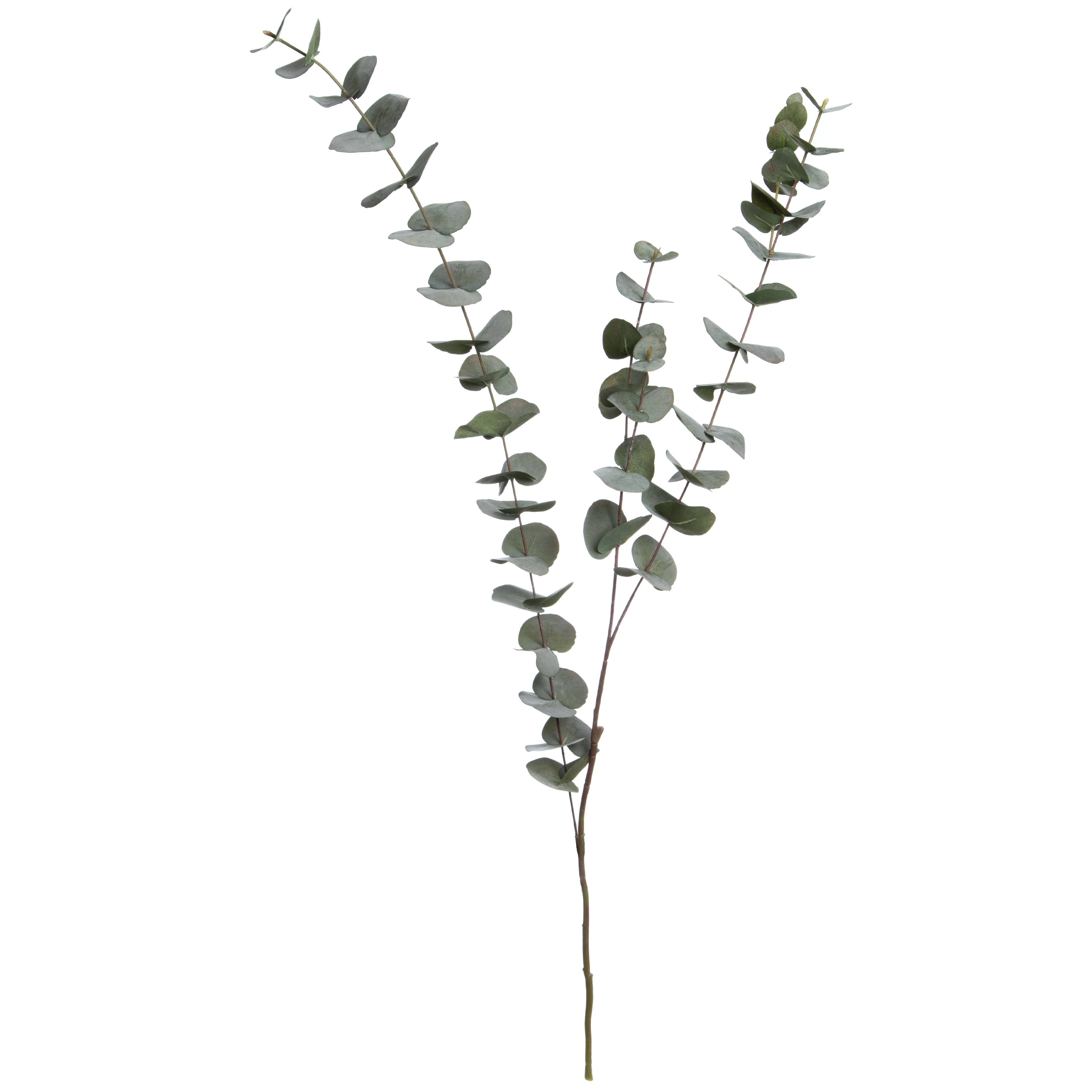 Tall Dusty Green Eucalyptus Stem by Ashland® | Michaels