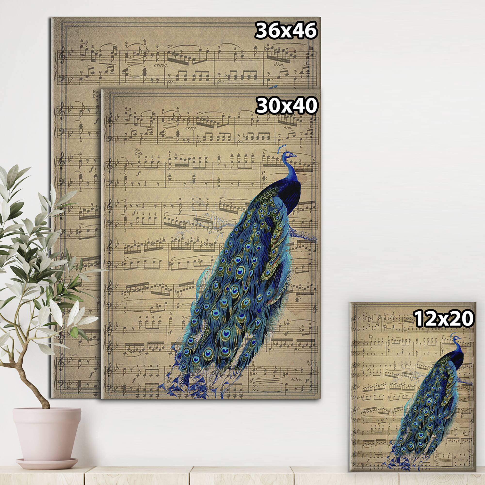 Designart - Peacock Music Score