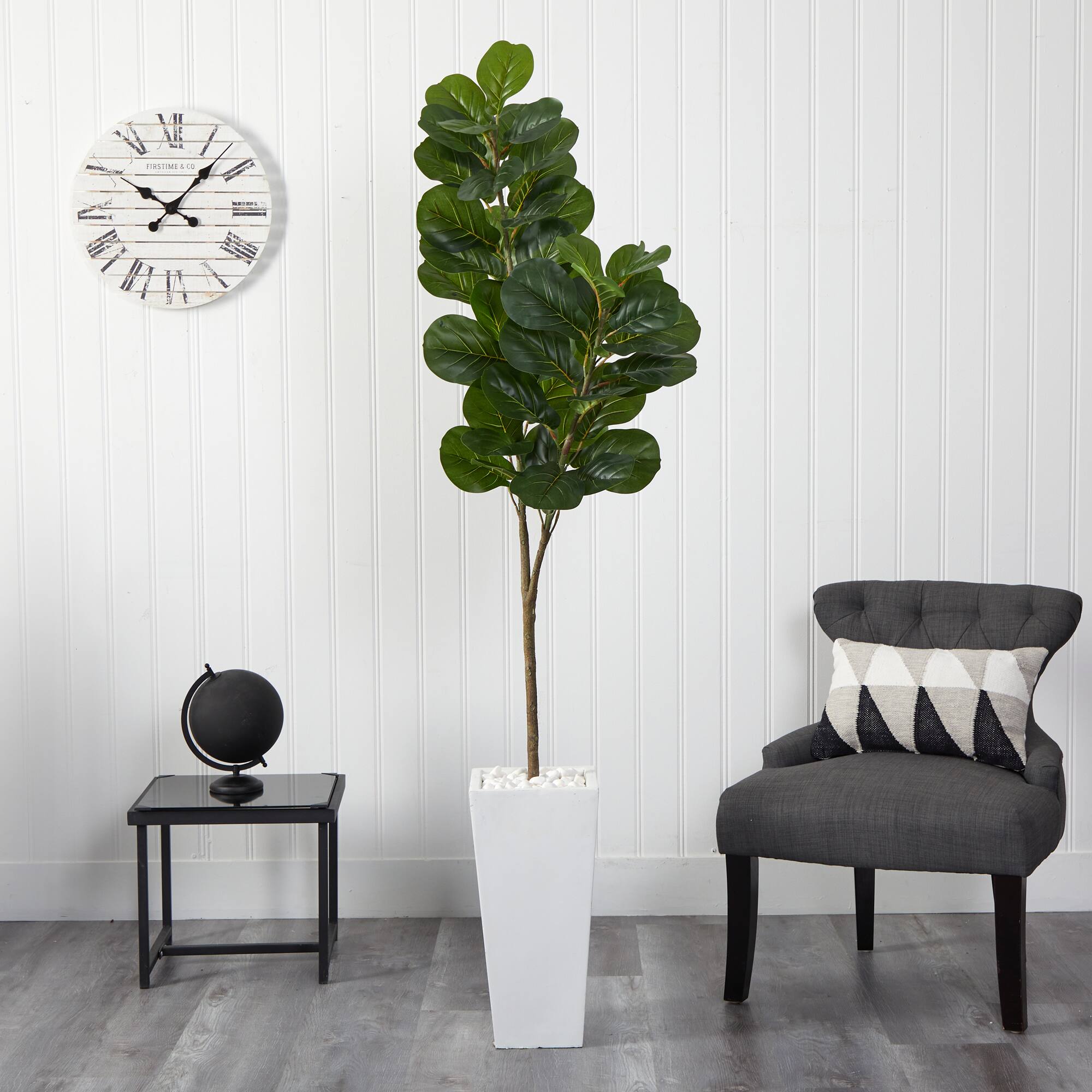 6ft. Fiddle Leaf Fig Tree in Tall White Planter