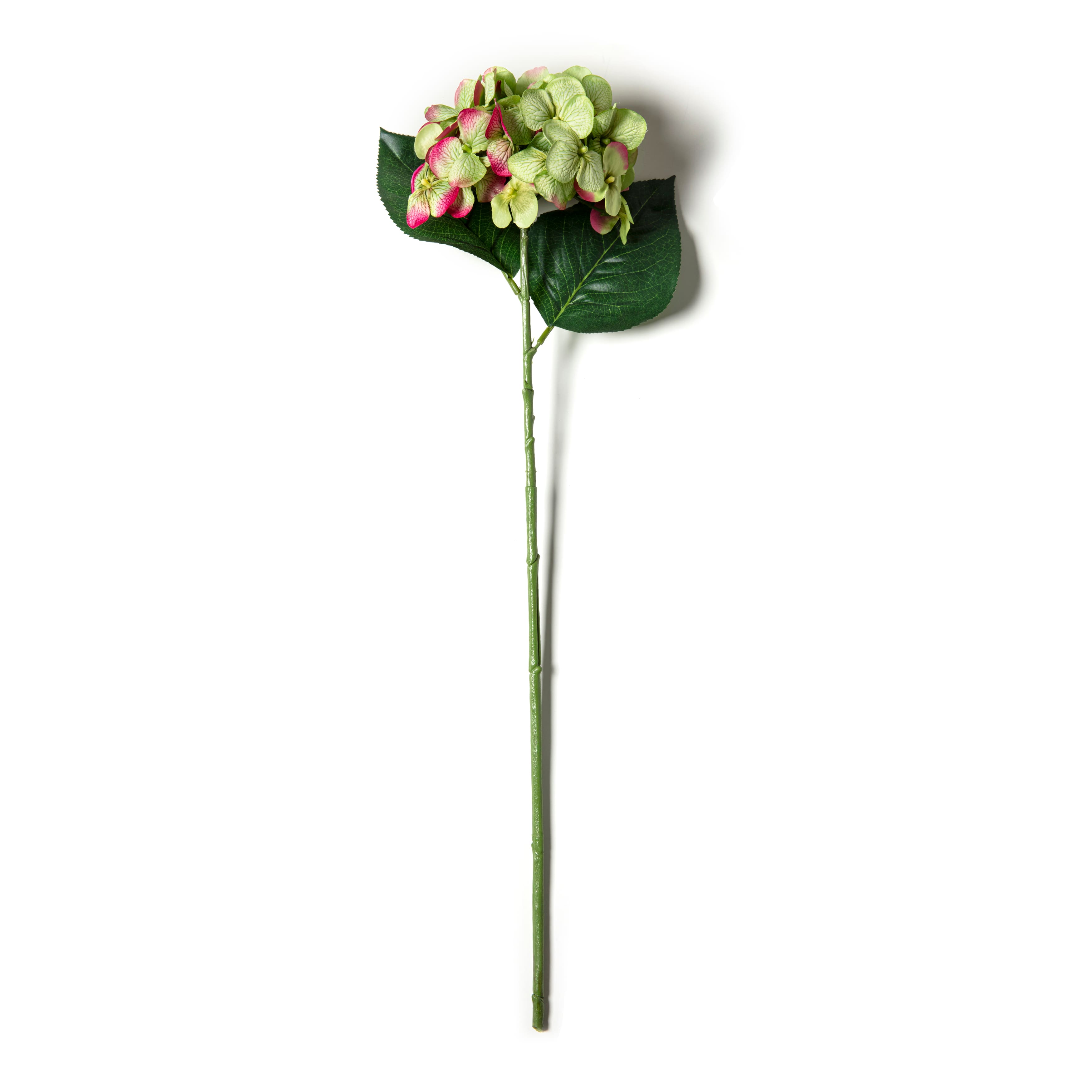12 Pack: Green Hydrangea Stem by Ashland&#xAE;