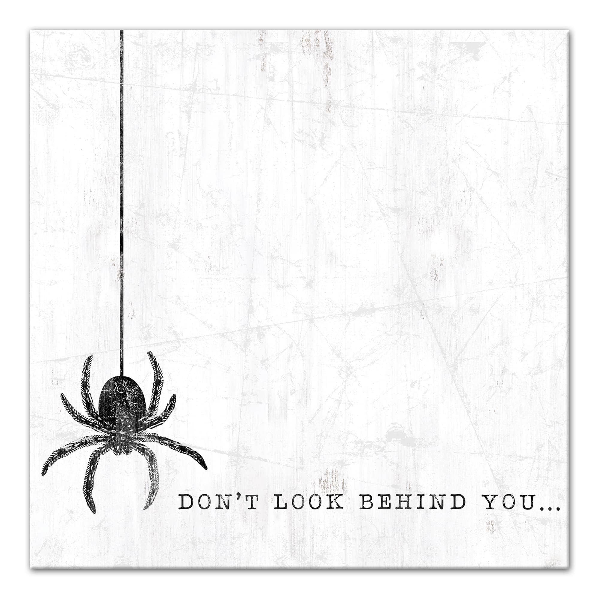 Don't Look Behind You Spider Canvas Wall Art