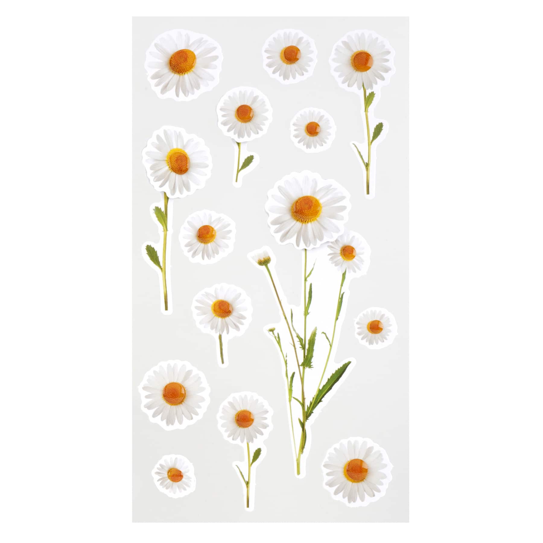 12 Pack: White Daisy Dimensional Stickers by Recollections™
