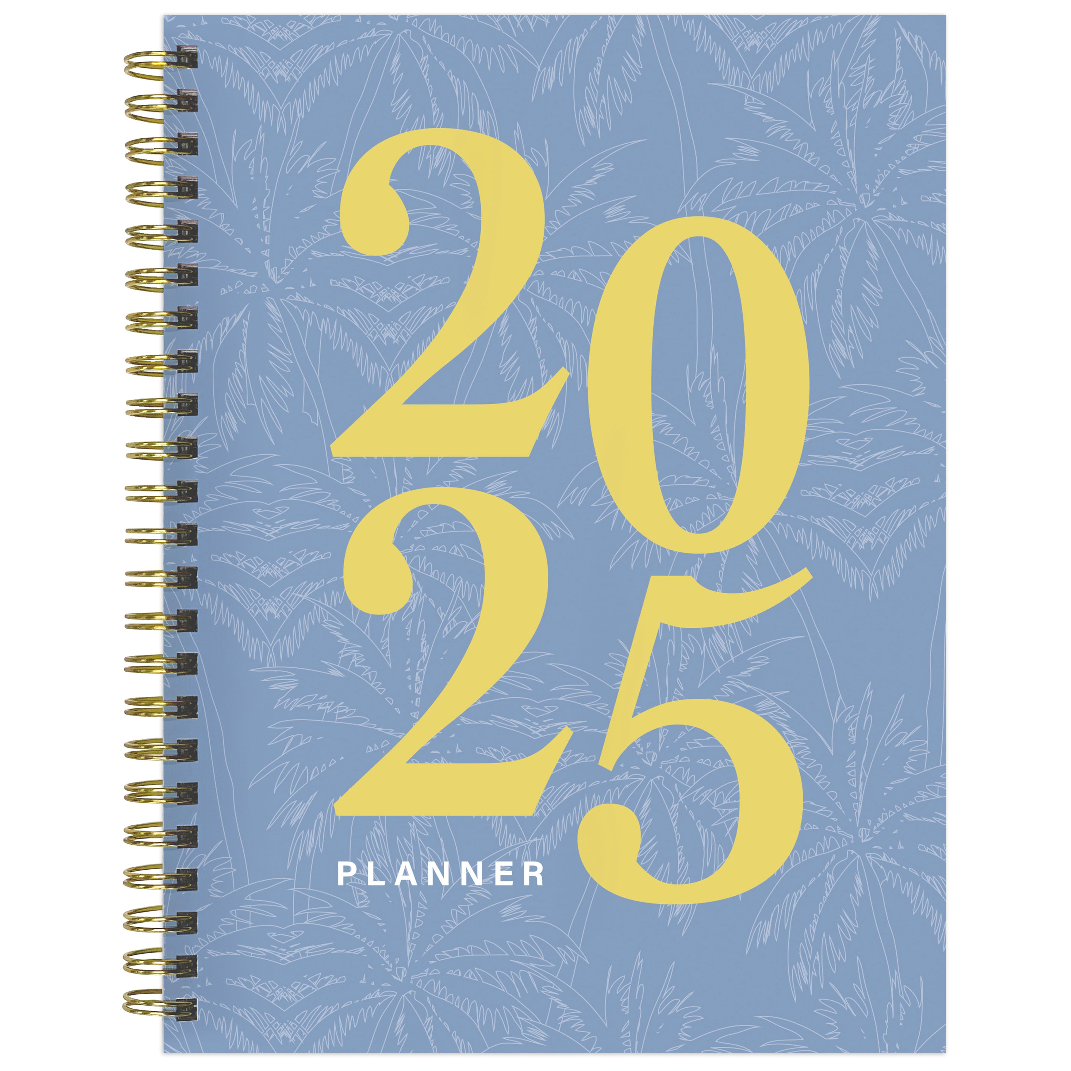 TF Publishing 2025 Medium Italian Sky Weekly Monthly Spiral Planner