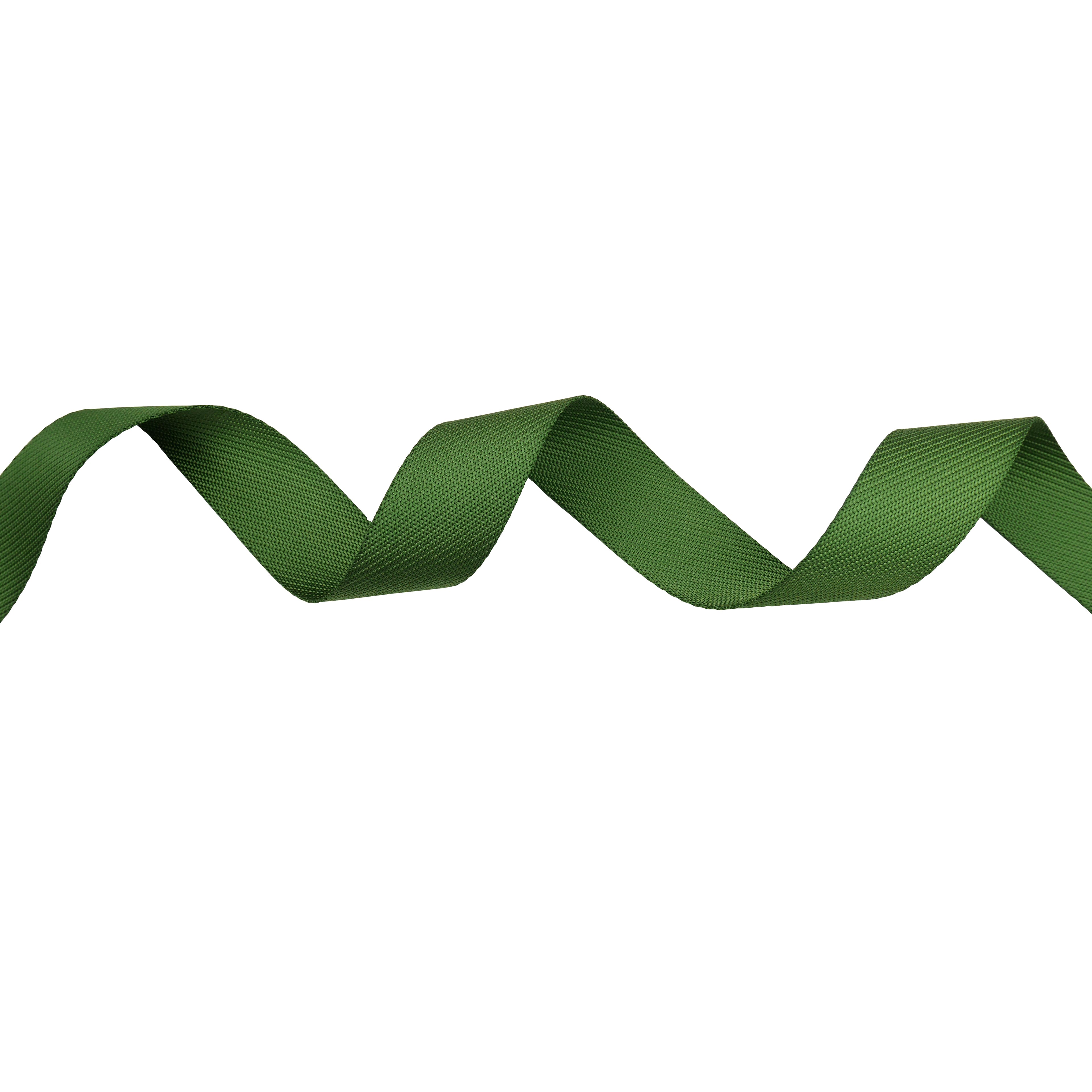 1.5&#x22; Belting Trim by Celebrate It&#xAE;
