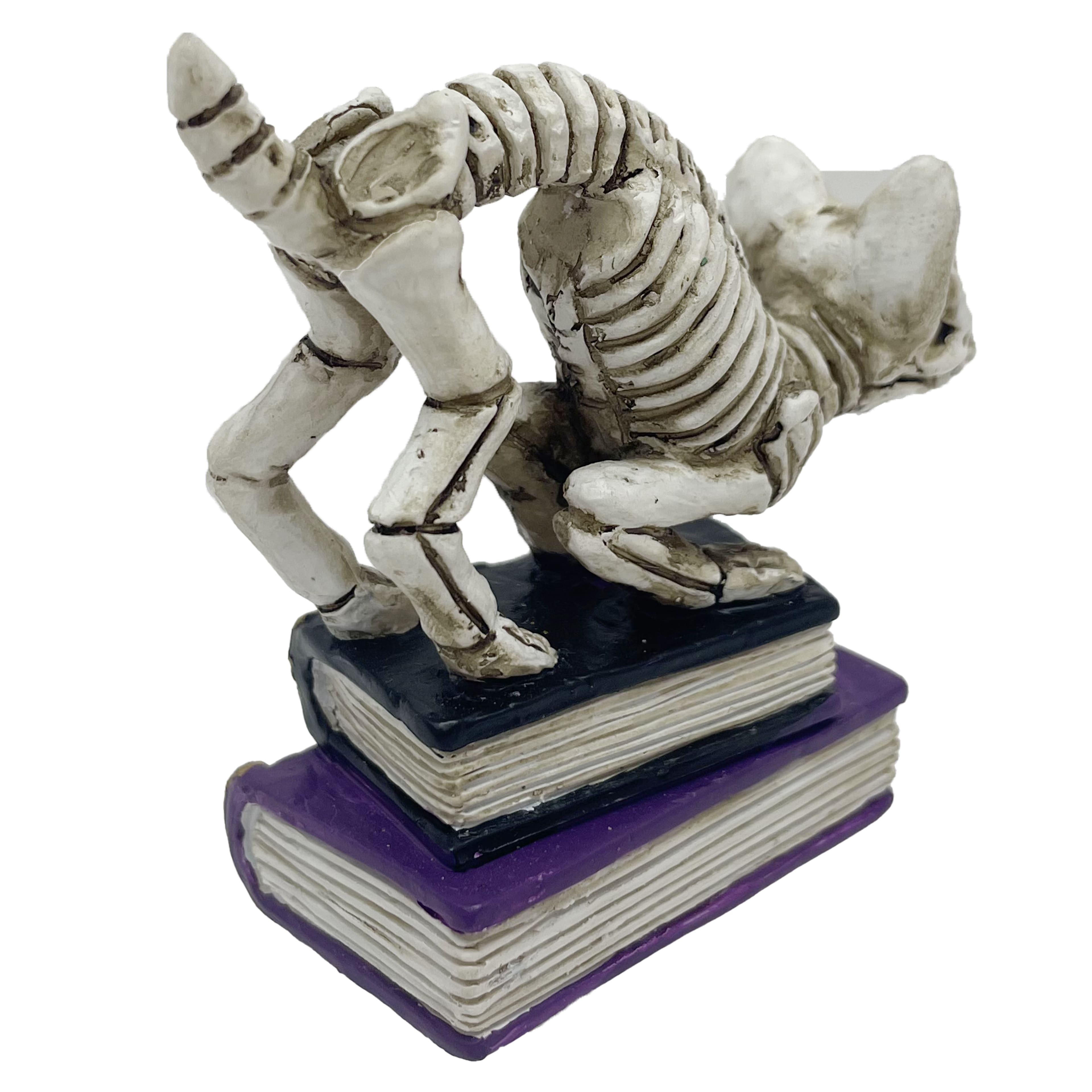 Mini Cat Skeleton with Books D&#xE9;cor by Ashland&#xAE;