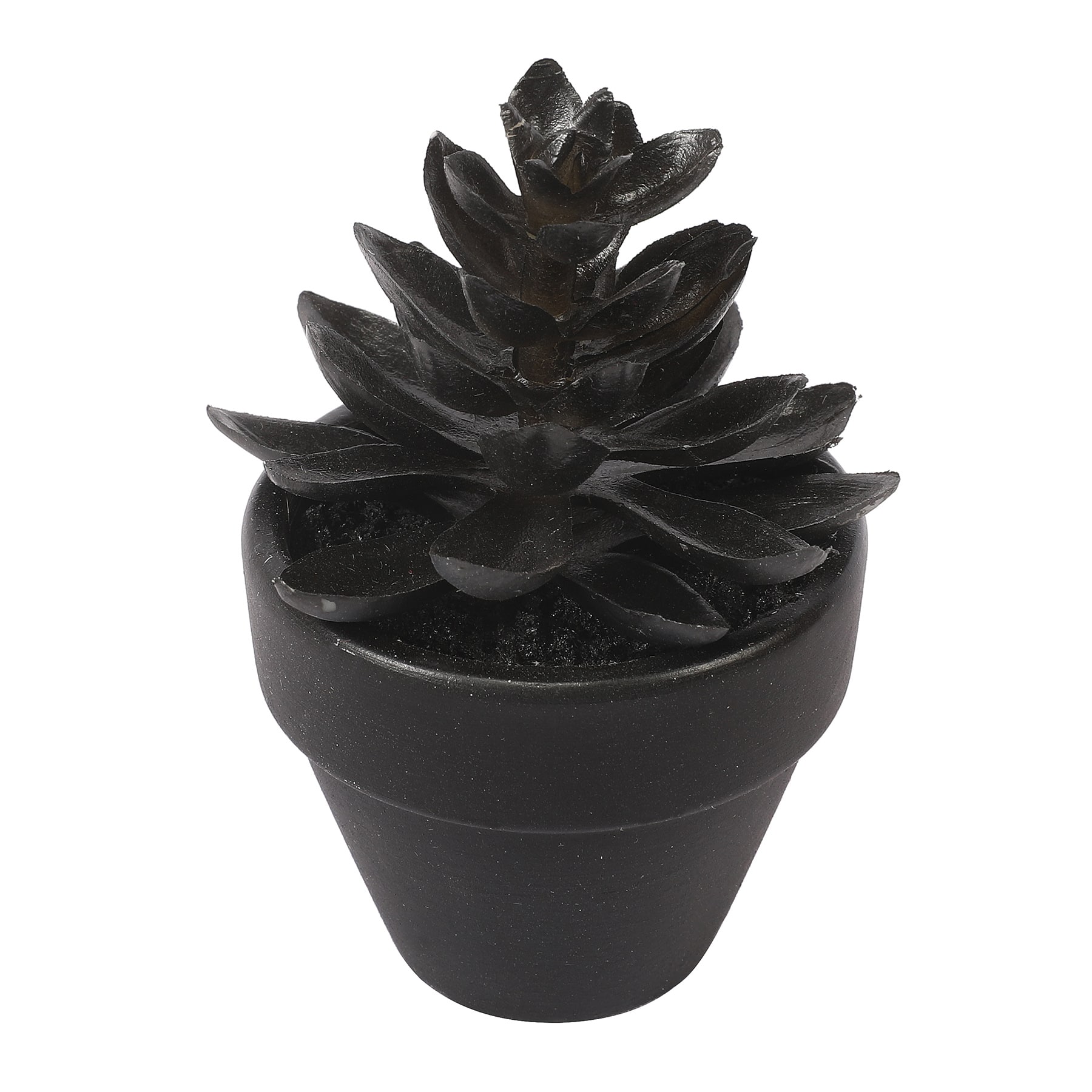 Assorted Mini Potted Succulent by Ashland&#xAE;, 1pc.