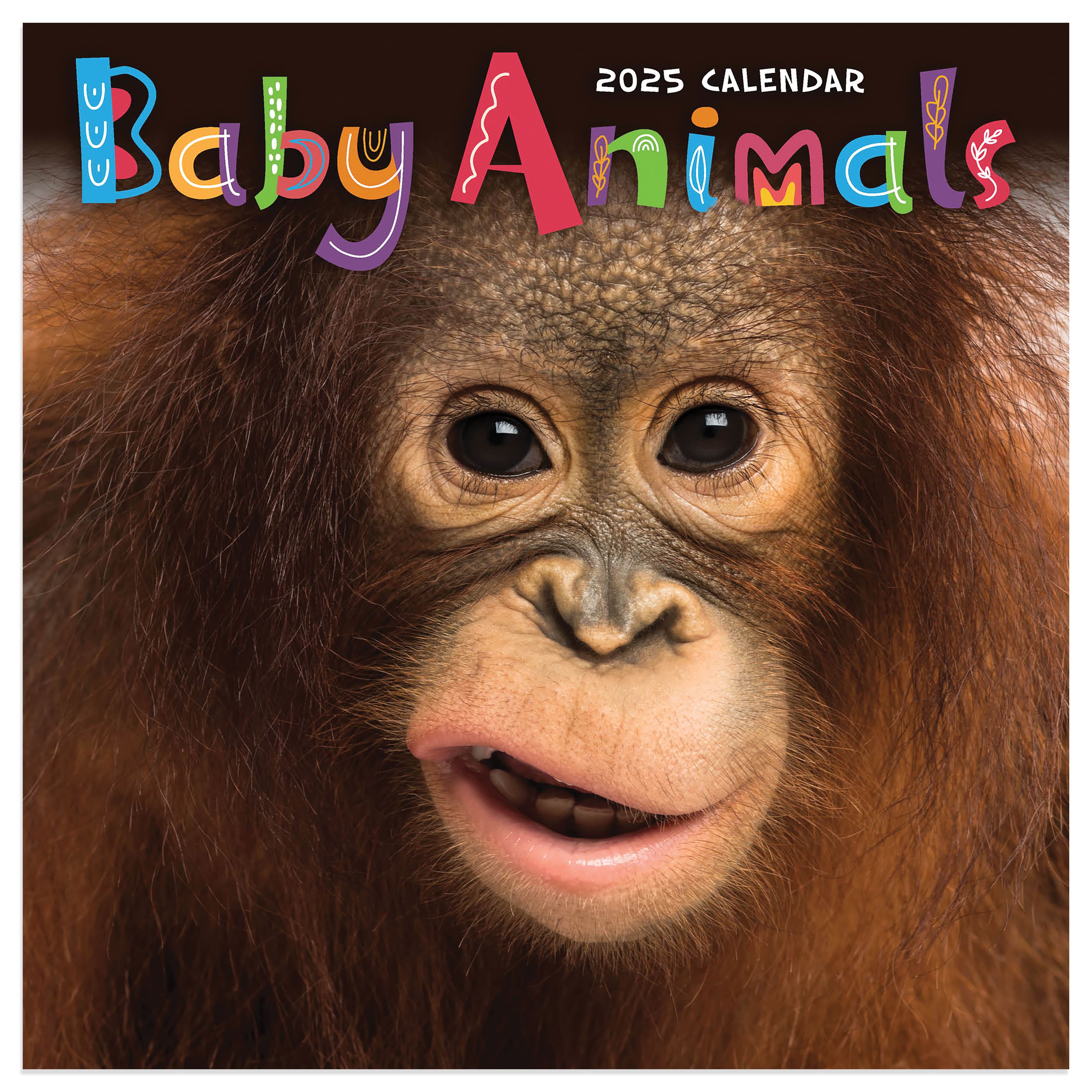 TF Publishing 2025 Baby Animals Mini Calendar