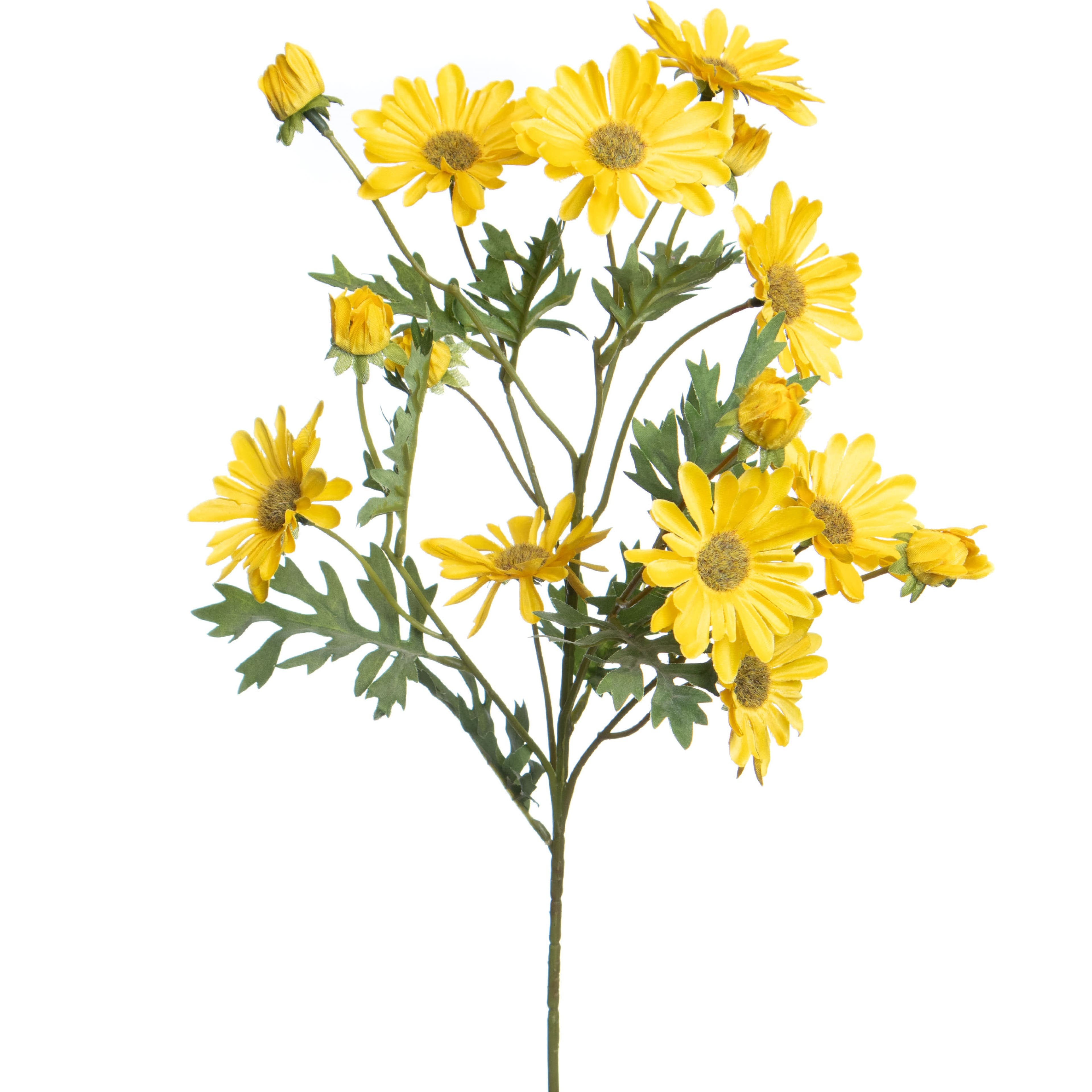 Tige de marguerites sauvages jaunes de 61&#xA0;cm d&#x2019;Ashland