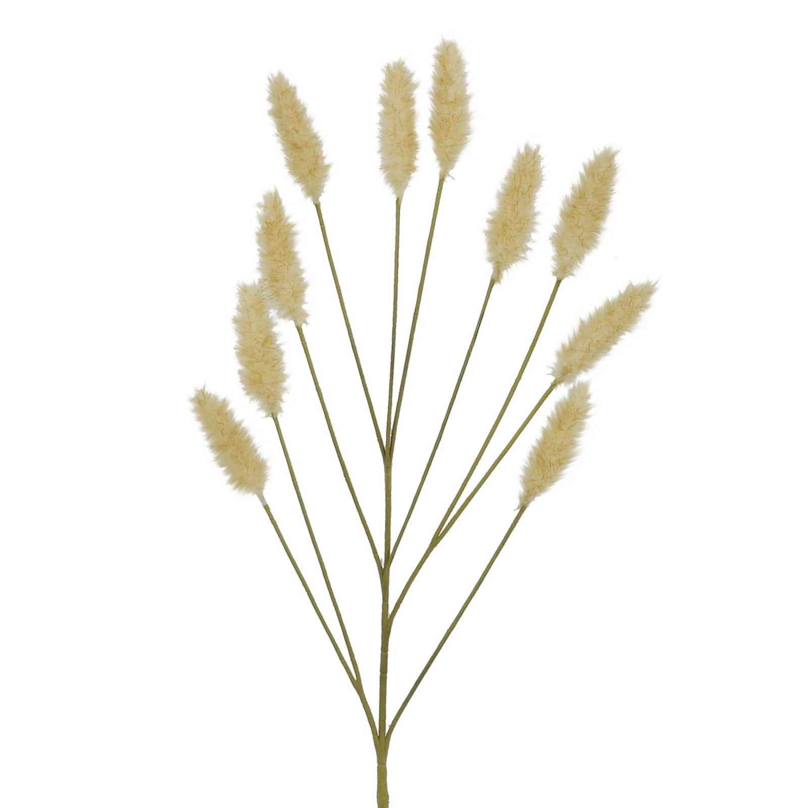 31&#x22; Toast Bunny Tail Grass Stem by Ashland&#xAE;