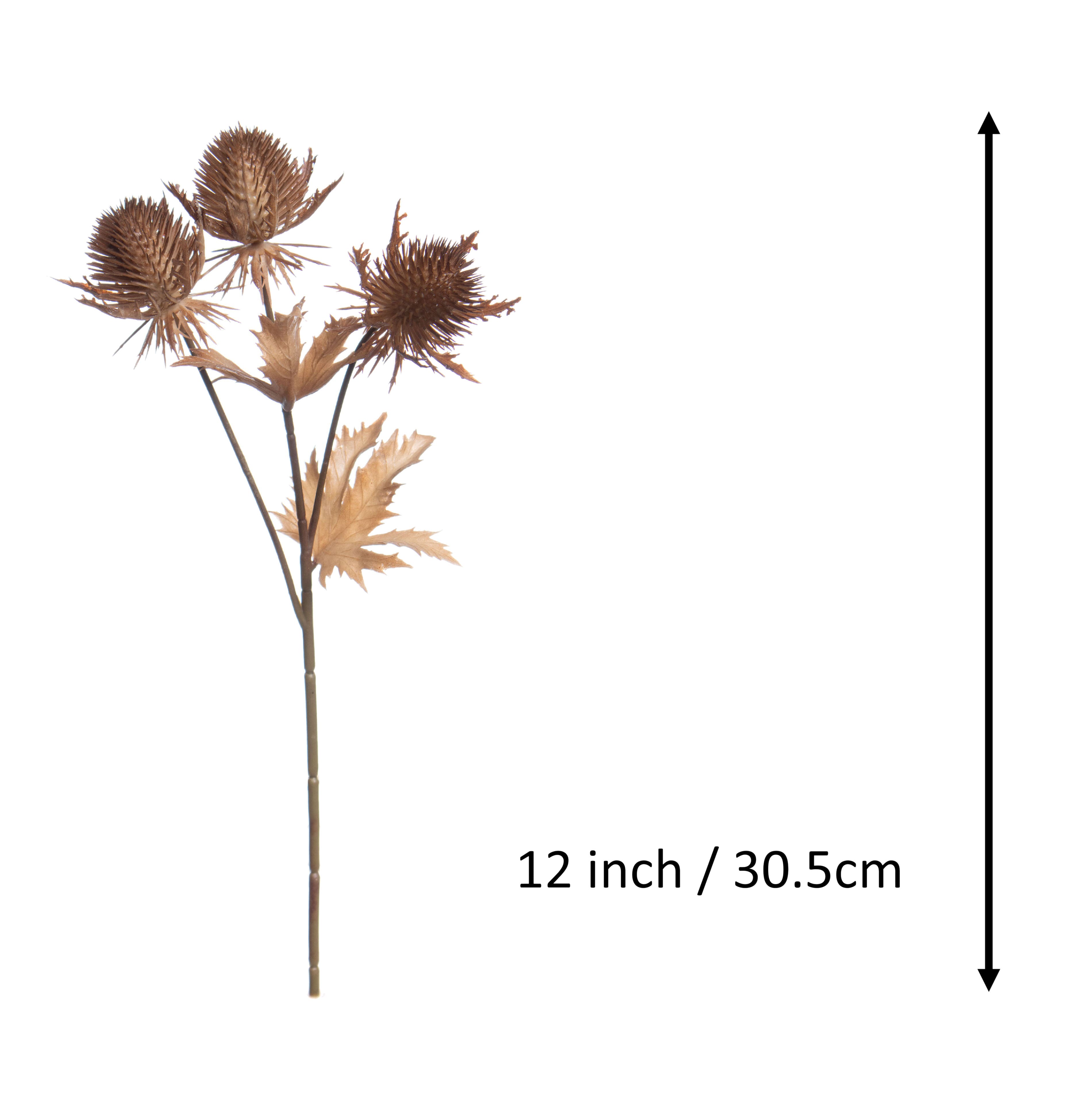 12&#x22; Brown Thistle Pick by Ashland&#xAE;