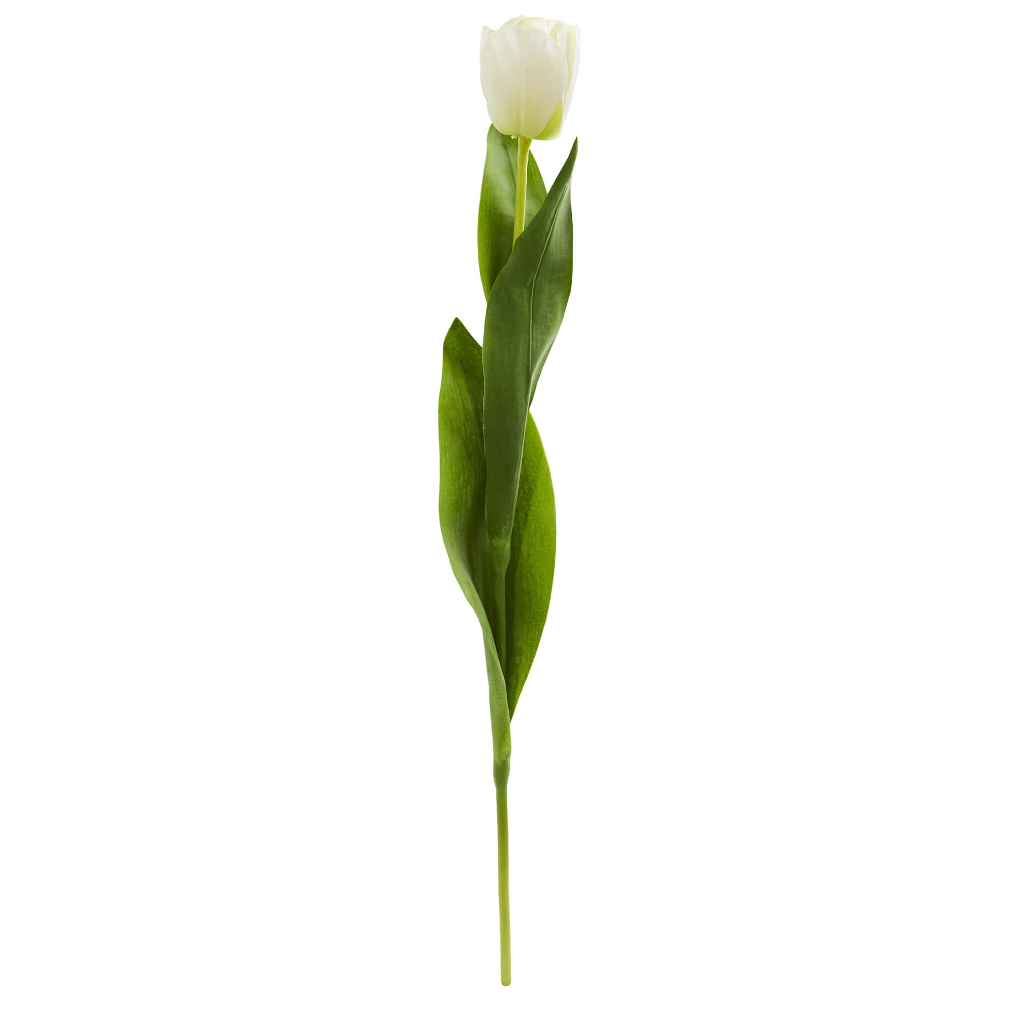 White Tulip Flower Stem, 8ct.