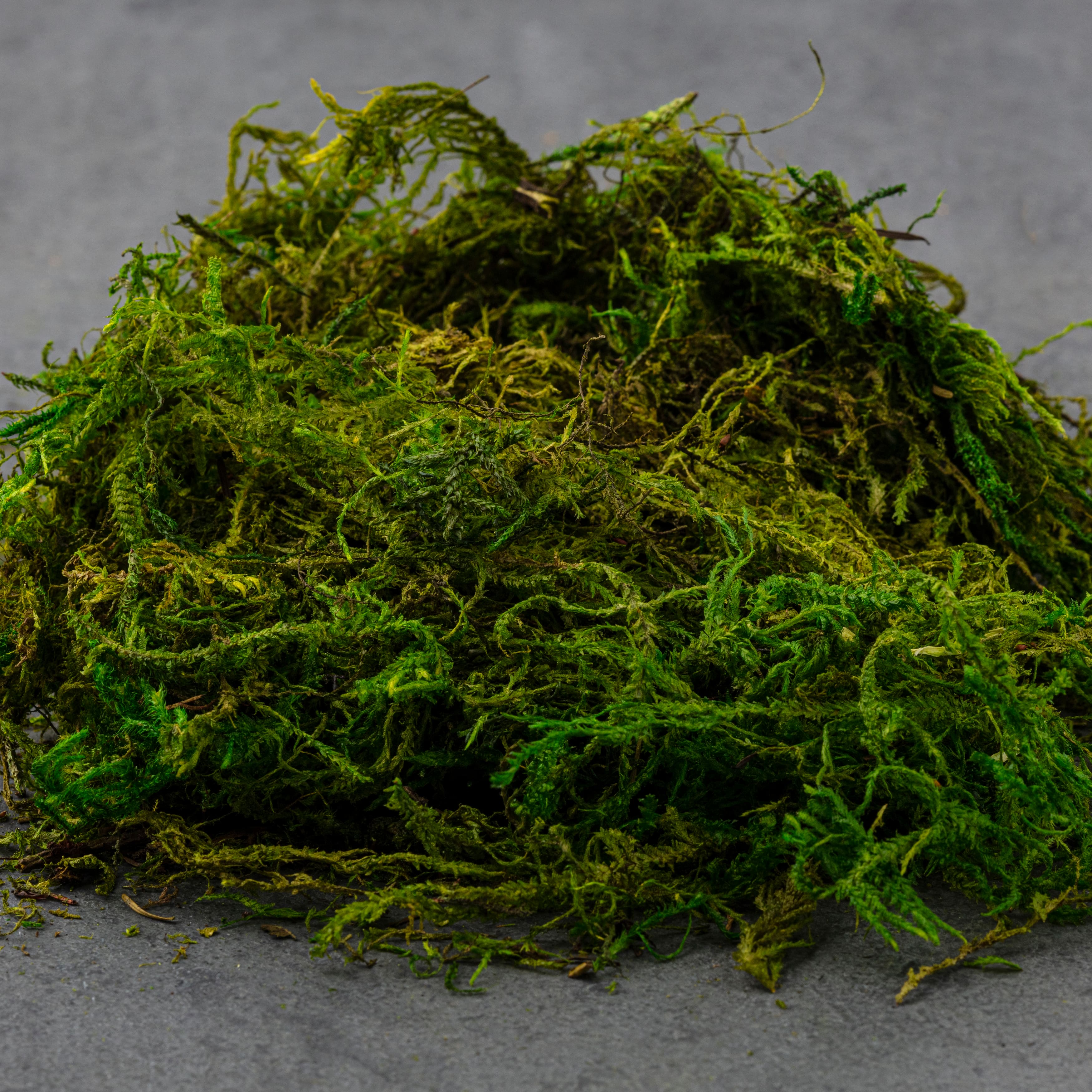 SuperMoss® Preserved Moss