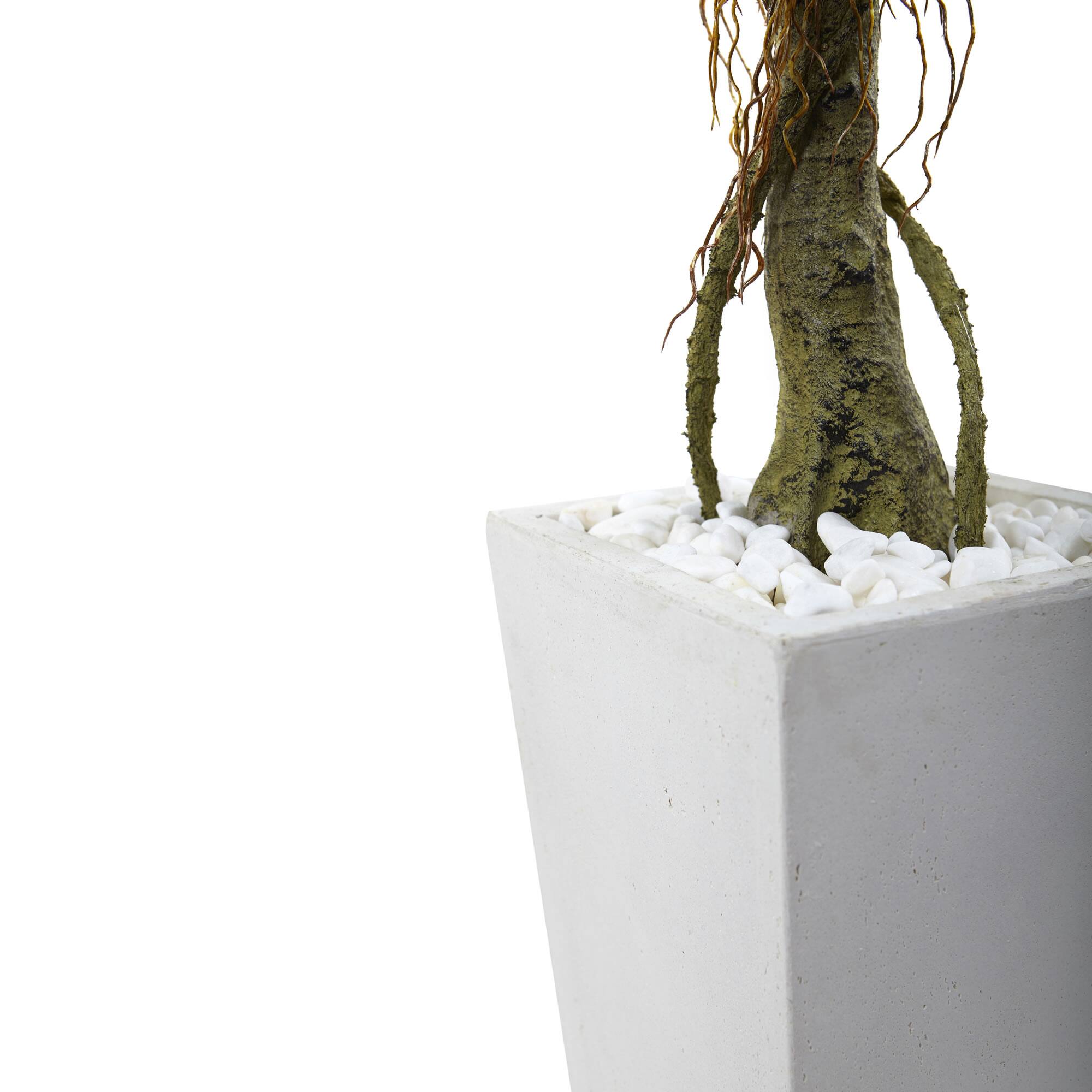 4.5ft. Potted Ficus Tree in Decorative White Planter