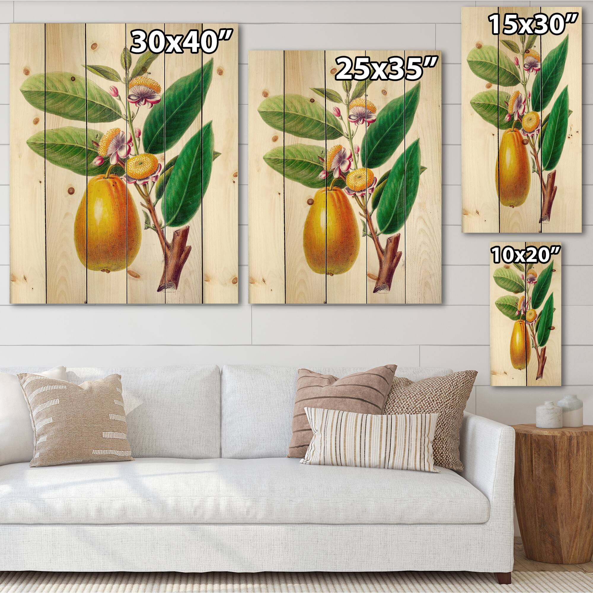 Designart - Vintage Fruits I - Farmhouse Print on Natural Pine Wood